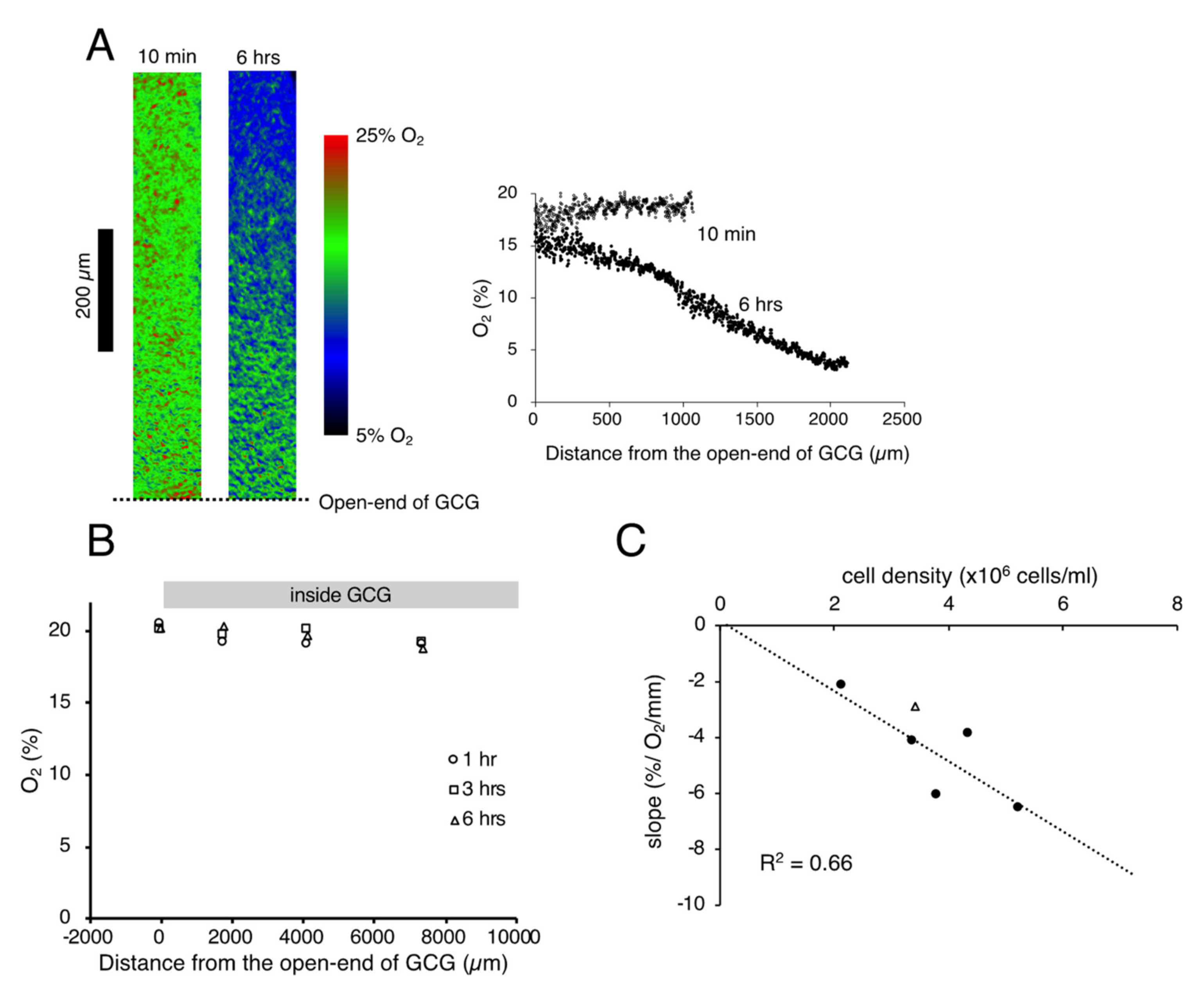 Ijms 21 02565 g001 Ijms 21 02565 g001