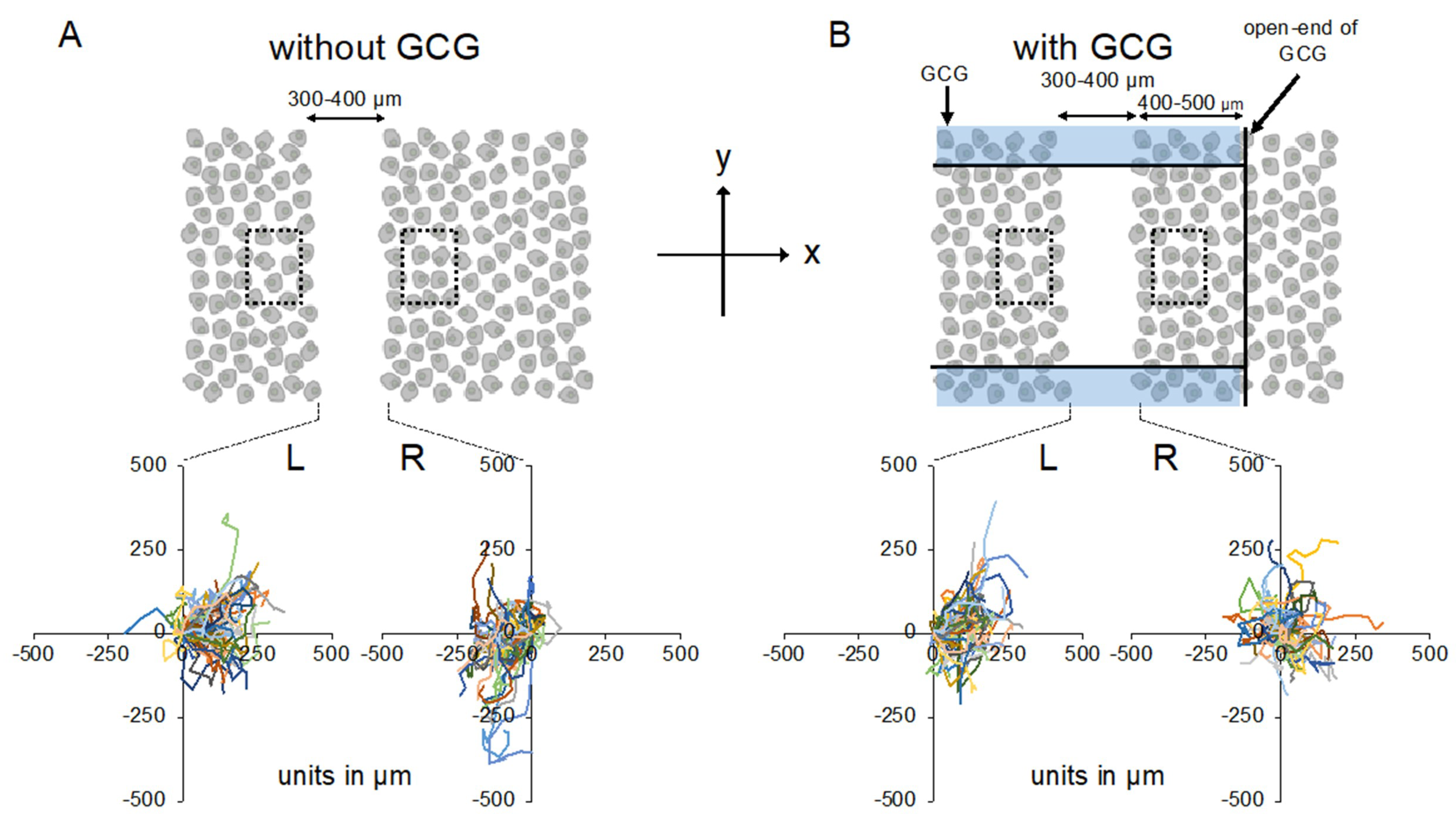 Ijms 21 02565 g003 Ijms 21 02565 g003