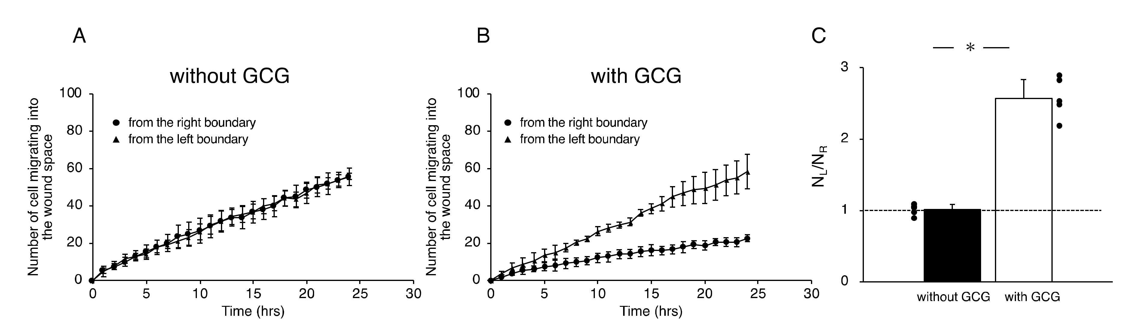 Ijms 21 02565 g005 Ijms 21 02565 g005
