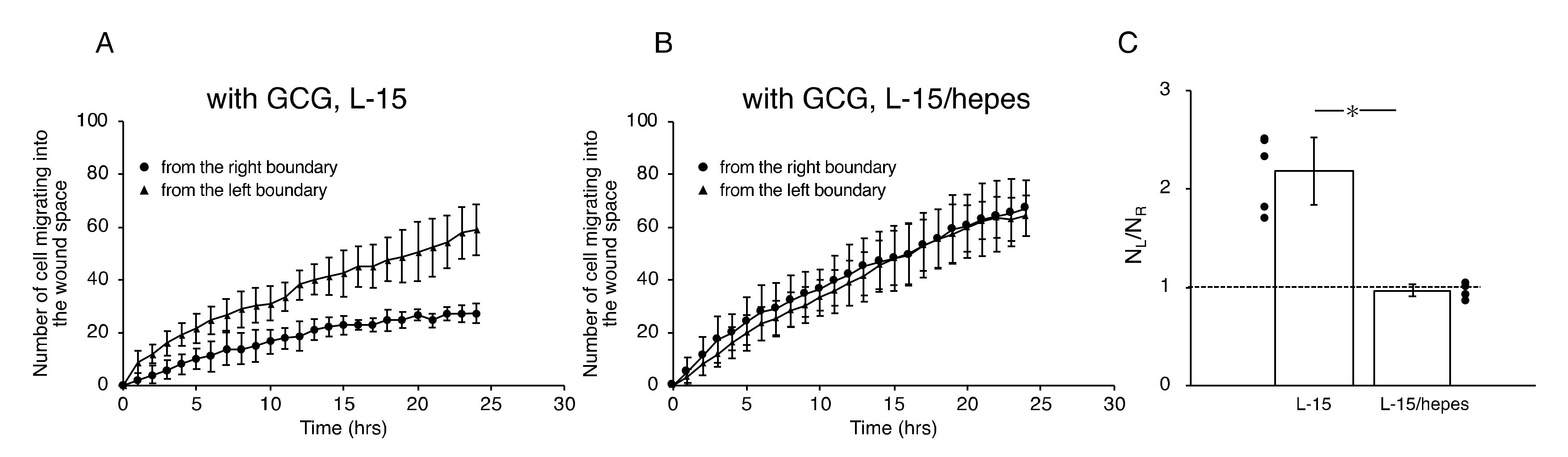 Ijms 21 02565 g007 Ijms 21 02565 g007