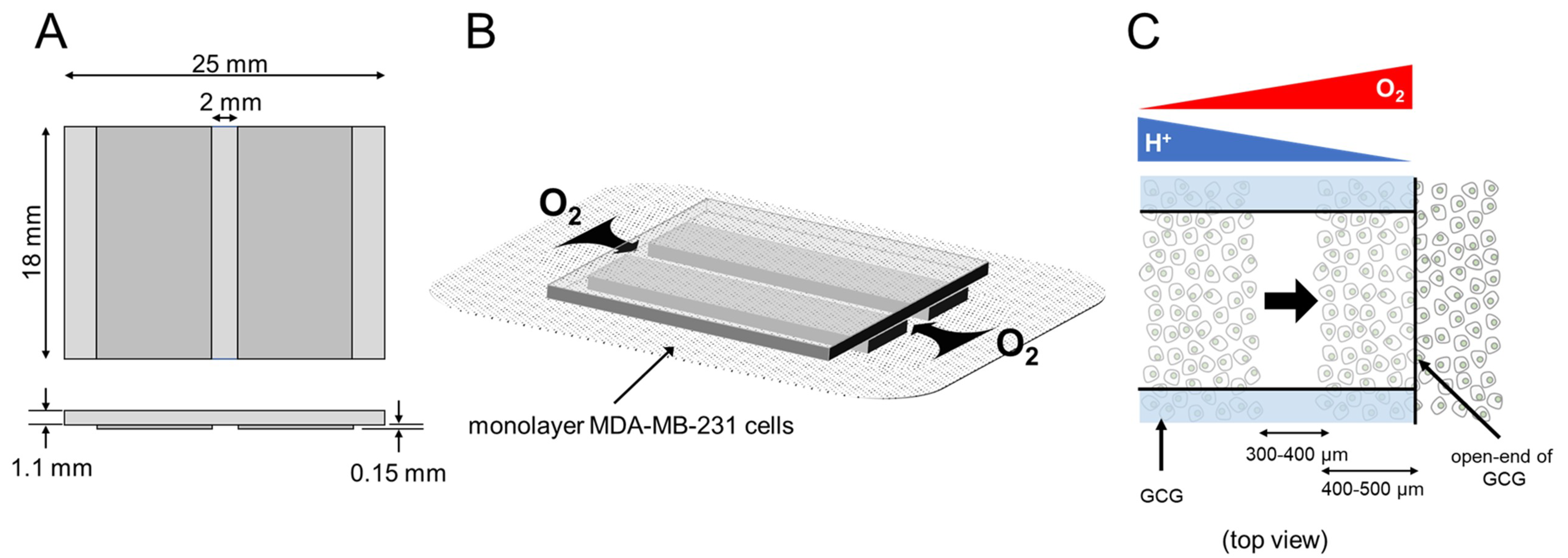 Ijms 21 02565 g008 Ijms 21 02565 g008
