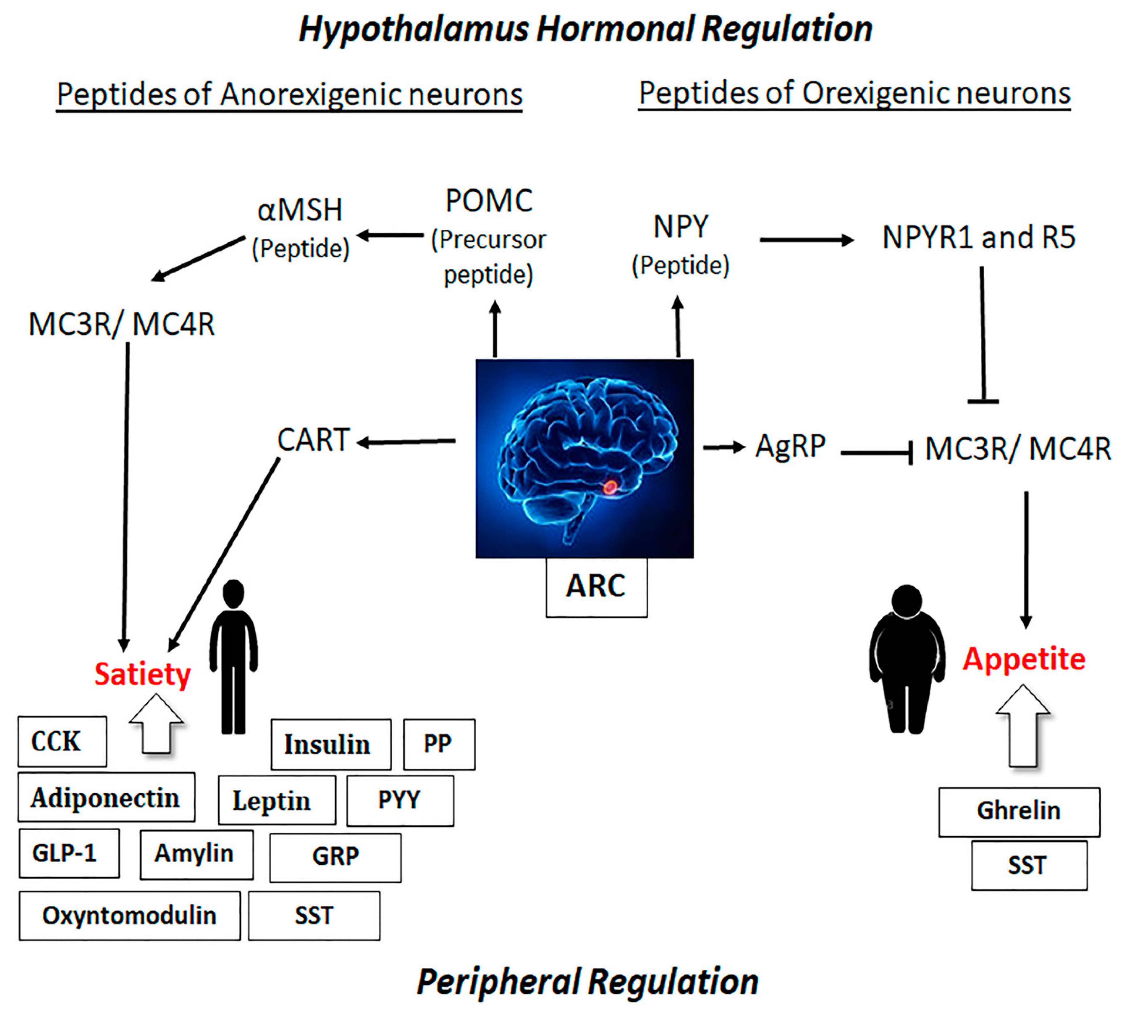 Ijms 21 02568 g001 Ijms 21 02568 g001