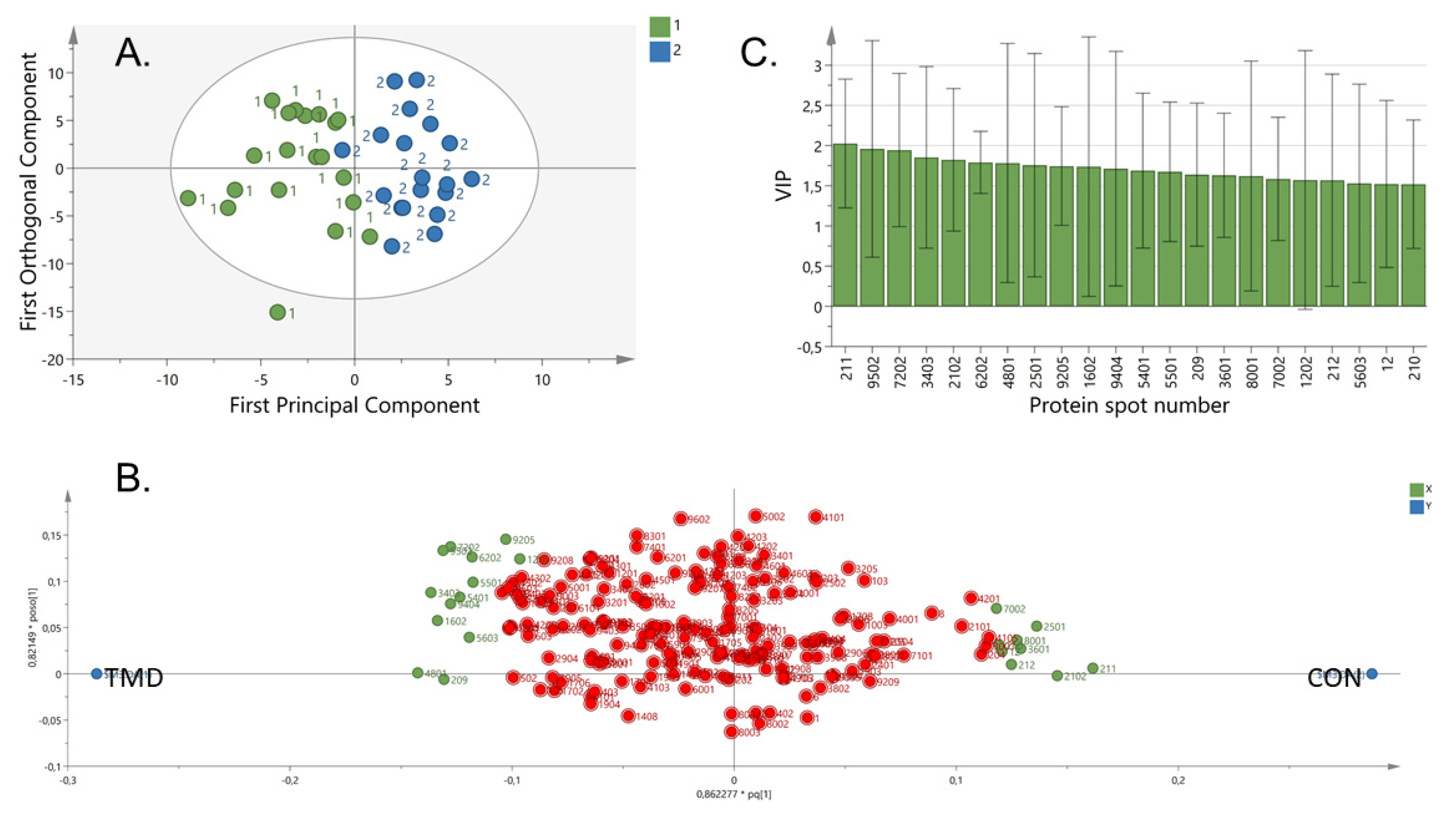 Ijms 21 02569 g001 Ijms 21 02569 g001