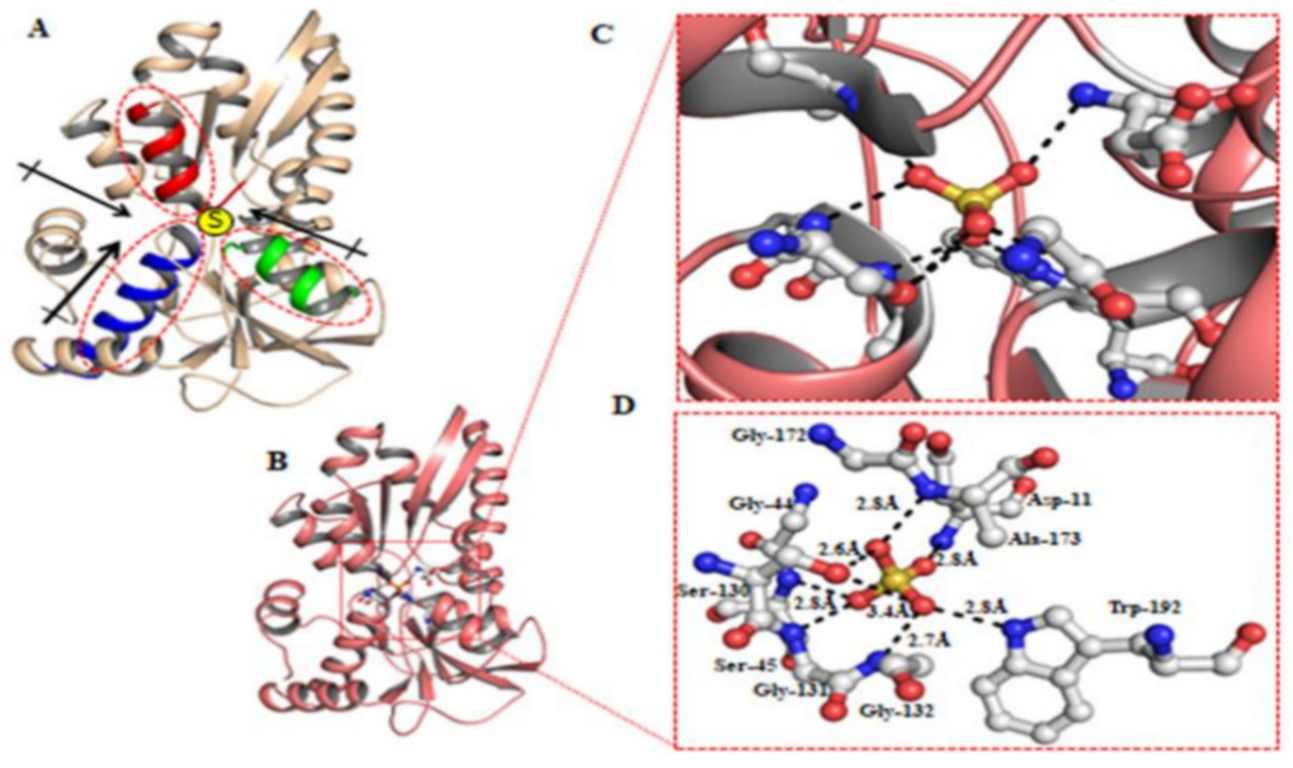 Ijms 21 02572 g001 Ijms 21 02572 g001
