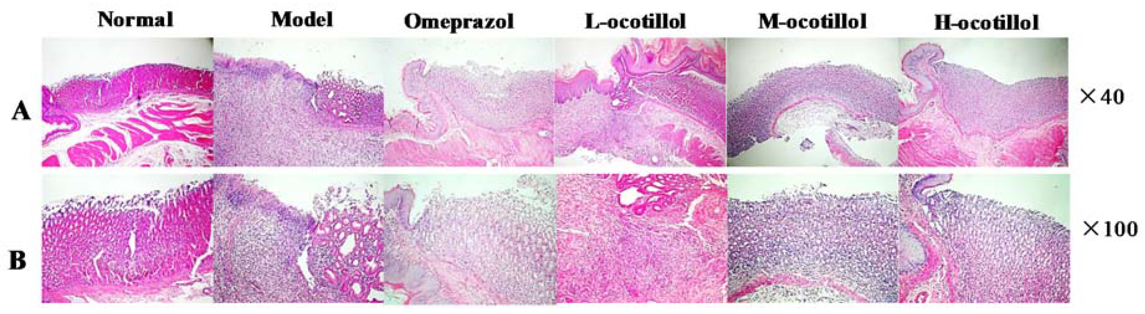 Ijms 21 02577 g004 Ijms 21 02577 g004