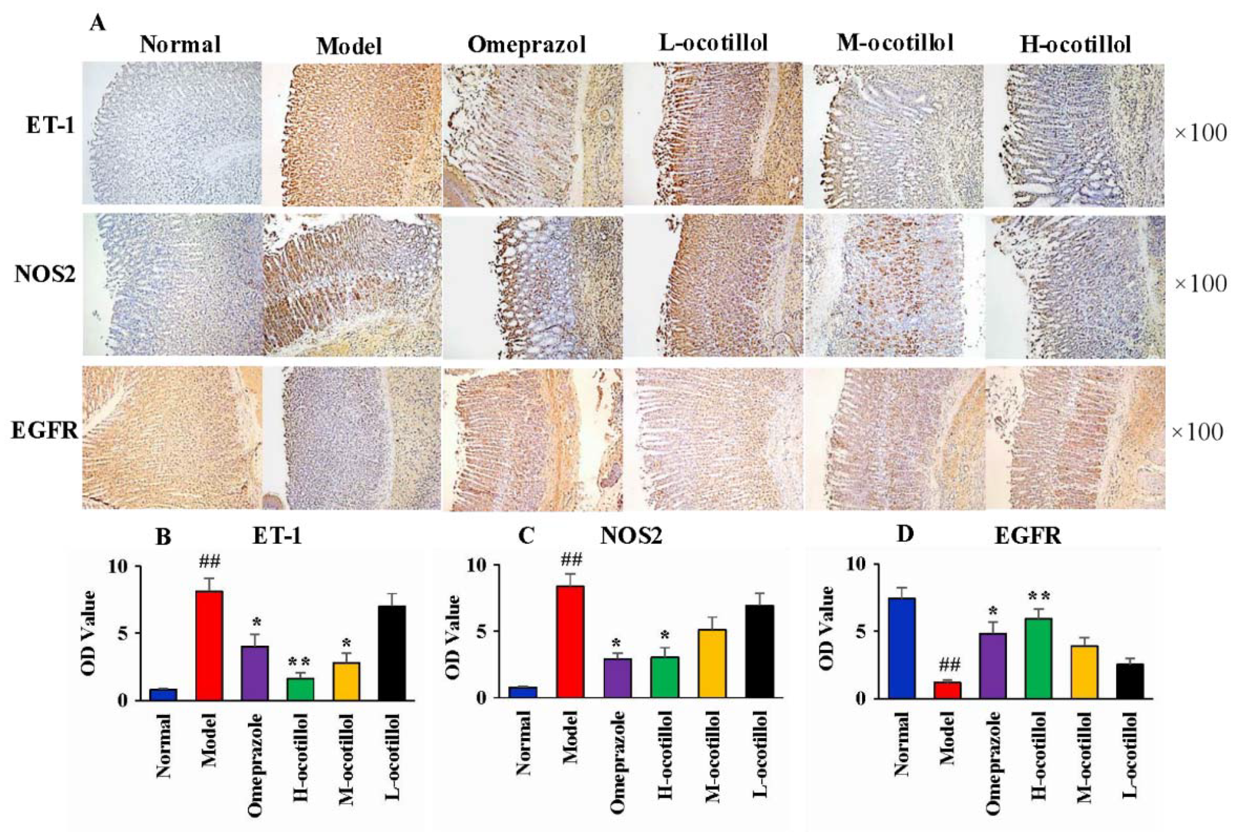 Ijms 21 02577 g005 Ijms 21 02577 g005