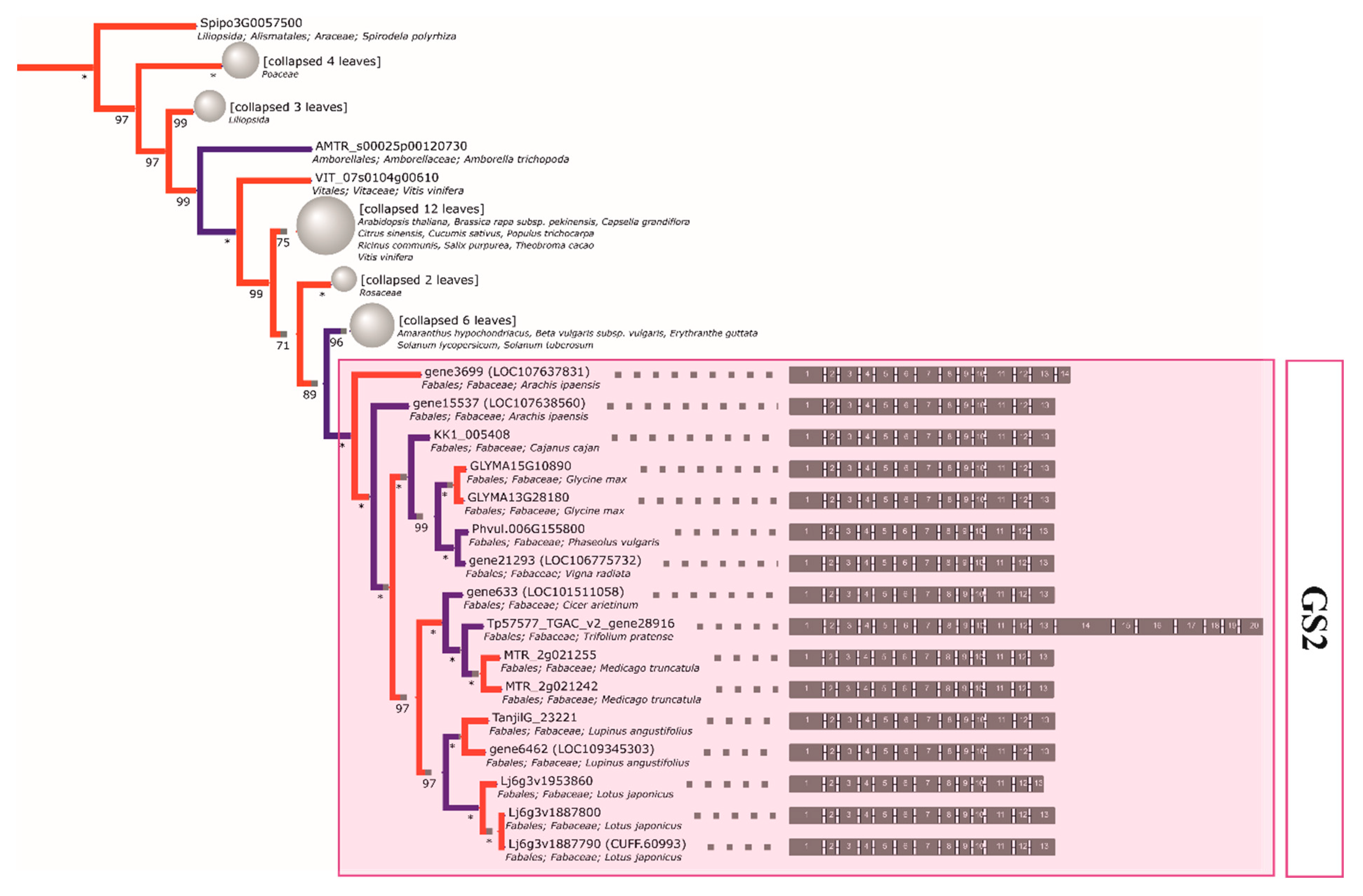 Ijms 21 02580 g001 Ijms 21 02580 g001