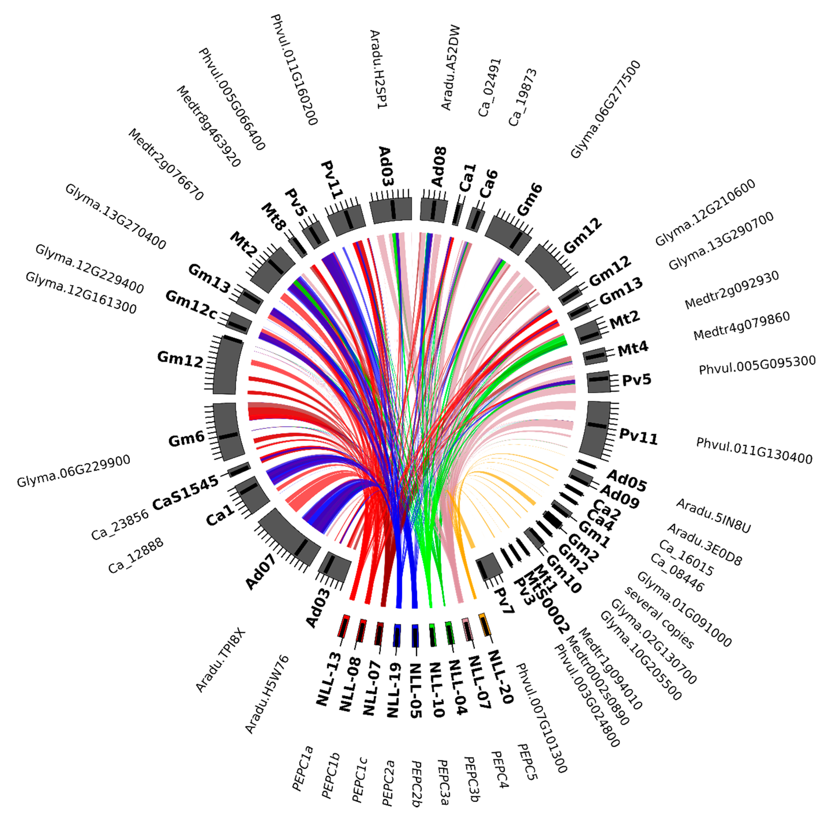 Ijms 21 02580 g007 Ijms 21 02580 g007