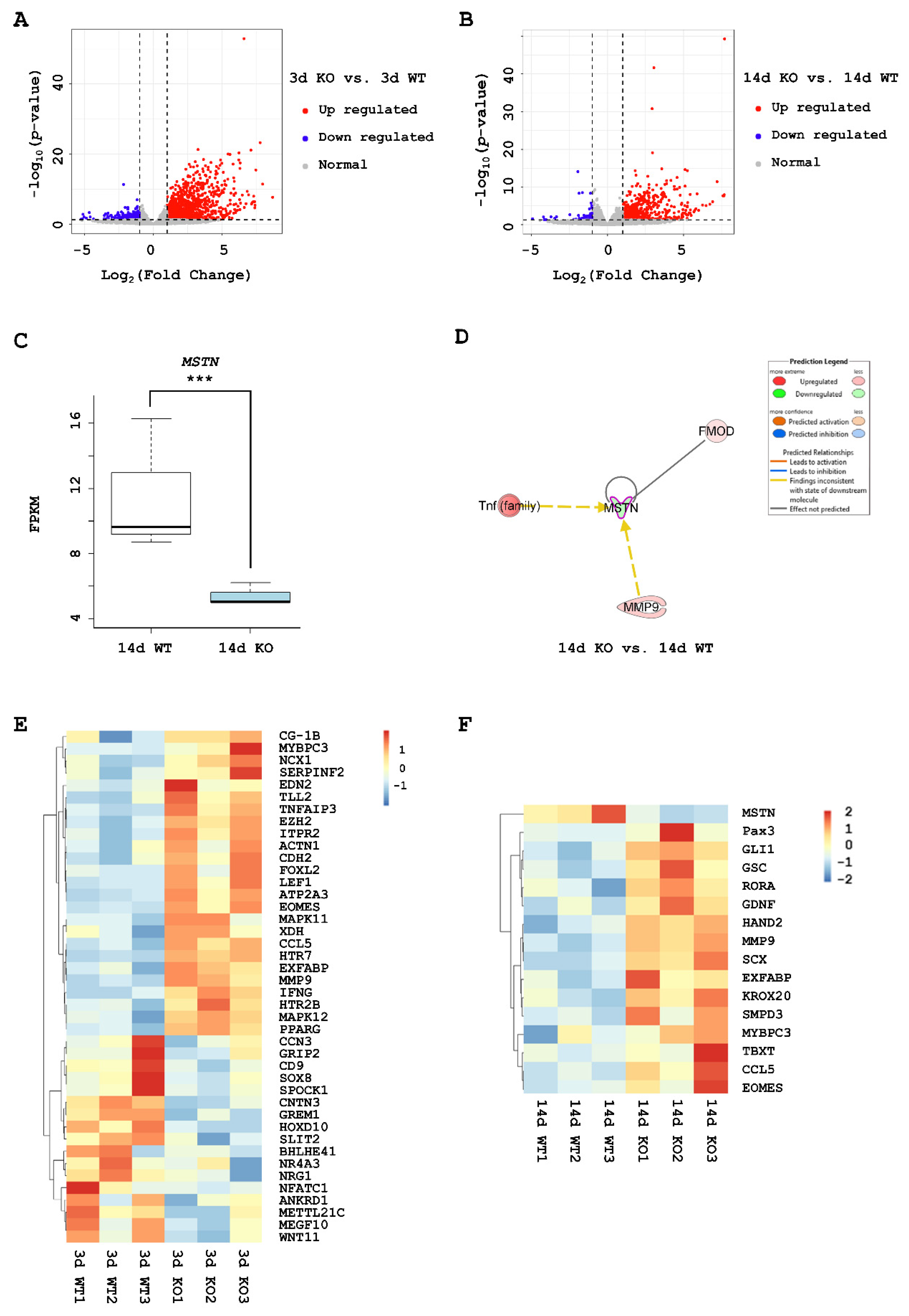 Ijms 21 02584 g002 Ijms 21 02584 g002