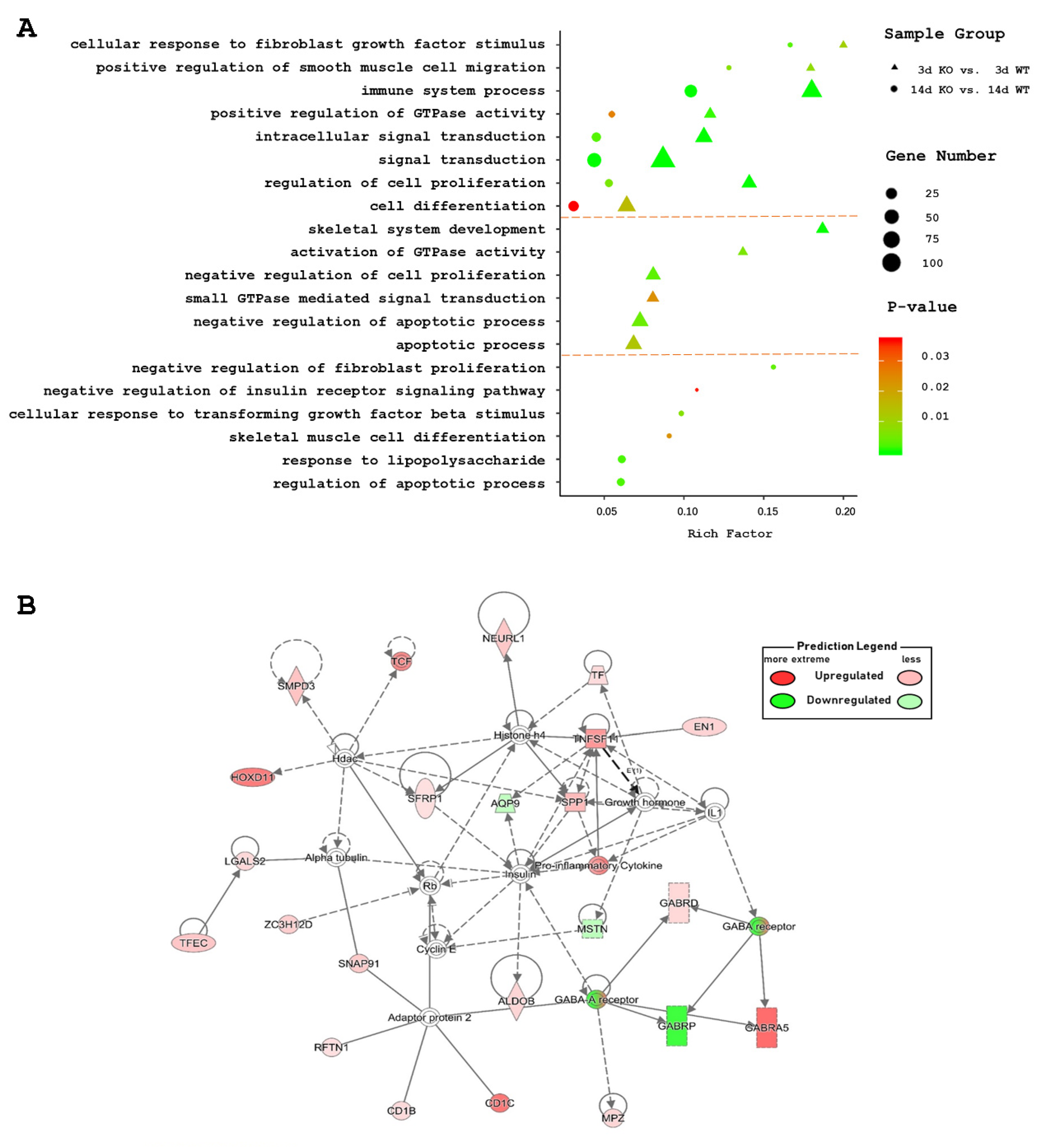 Ijms 21 02584 g003 Ijms 21 02584 g003