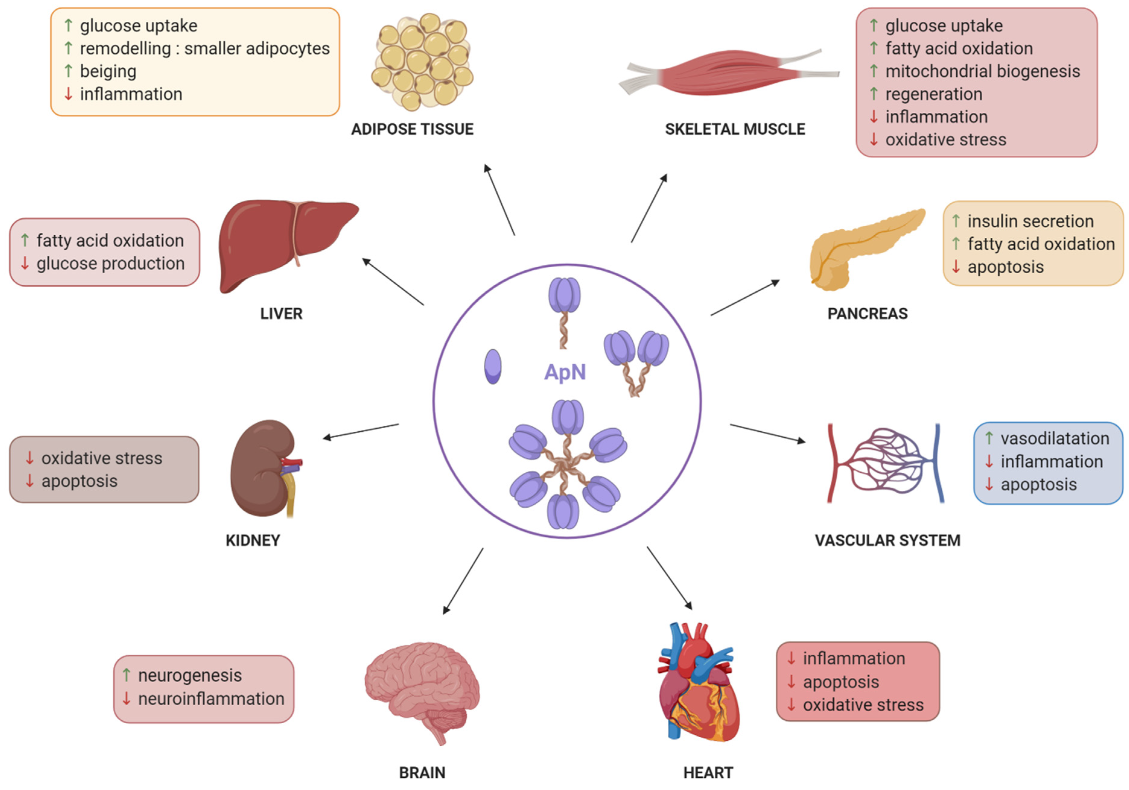 Ijms 21 02620 g001 Ijms 21 02620 g001