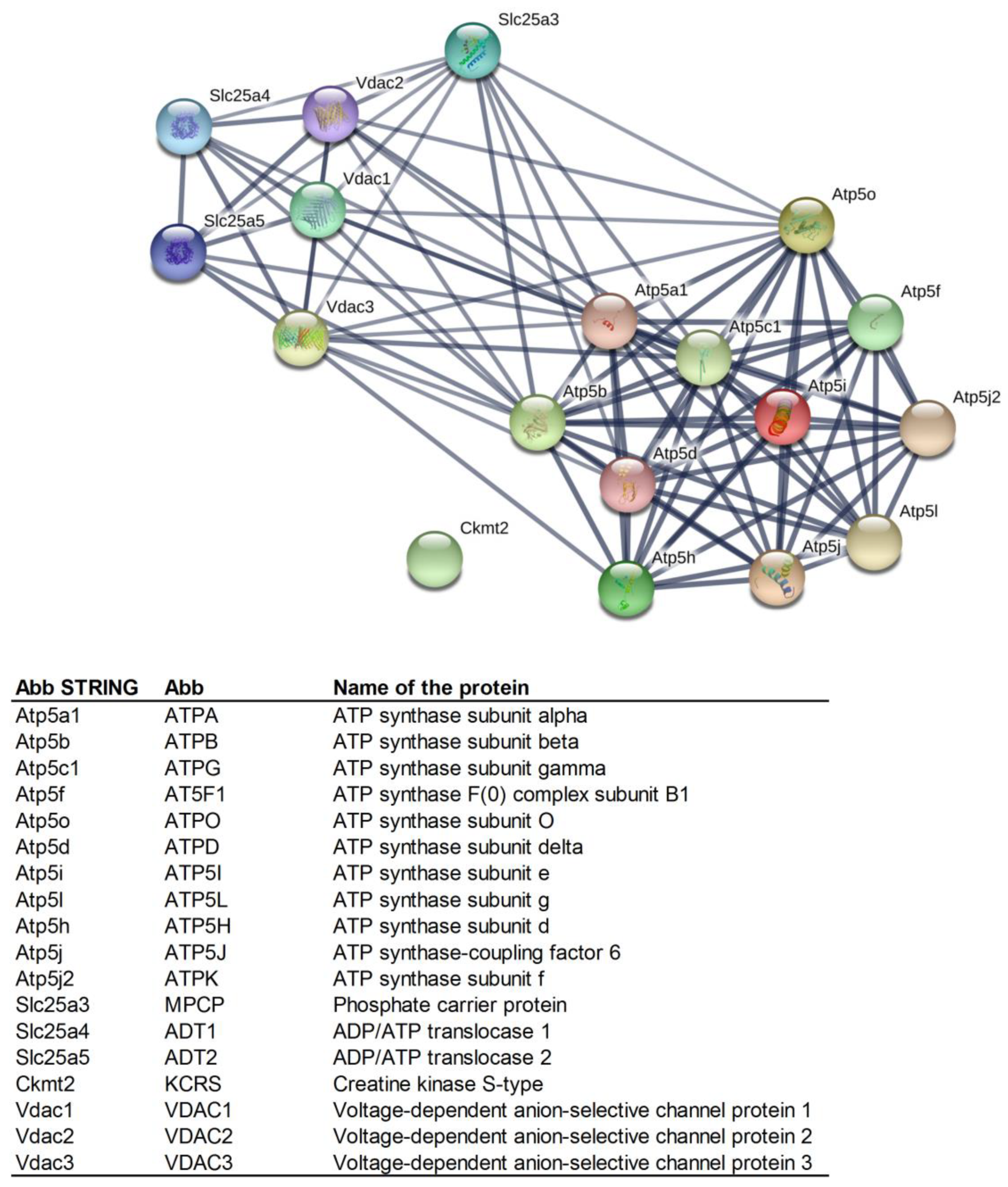 Ijms 21 02622 g001 Ijms 21 02622 g001