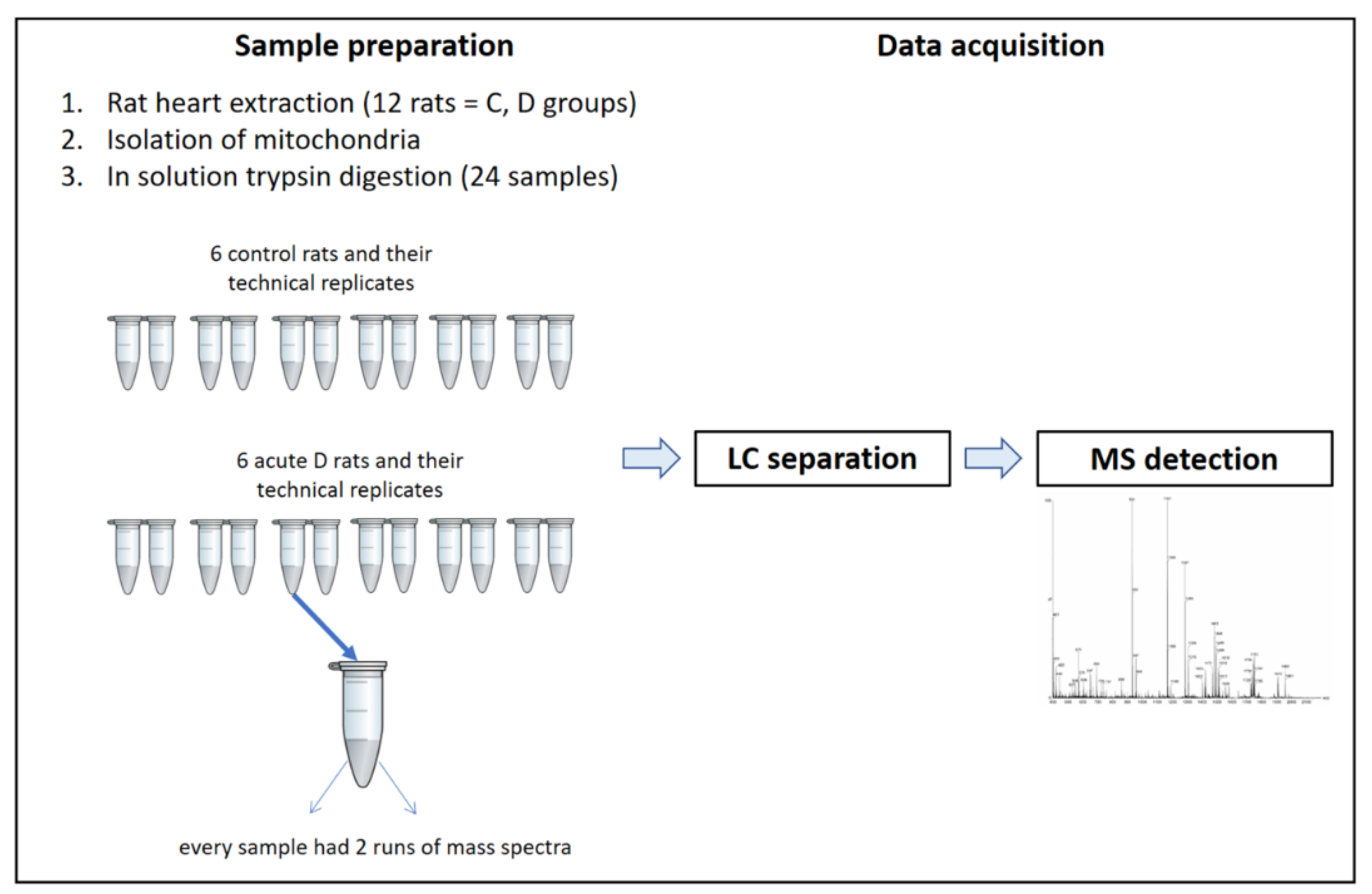 Ijms 21 02622 g006 Ijms 21 02622 g006