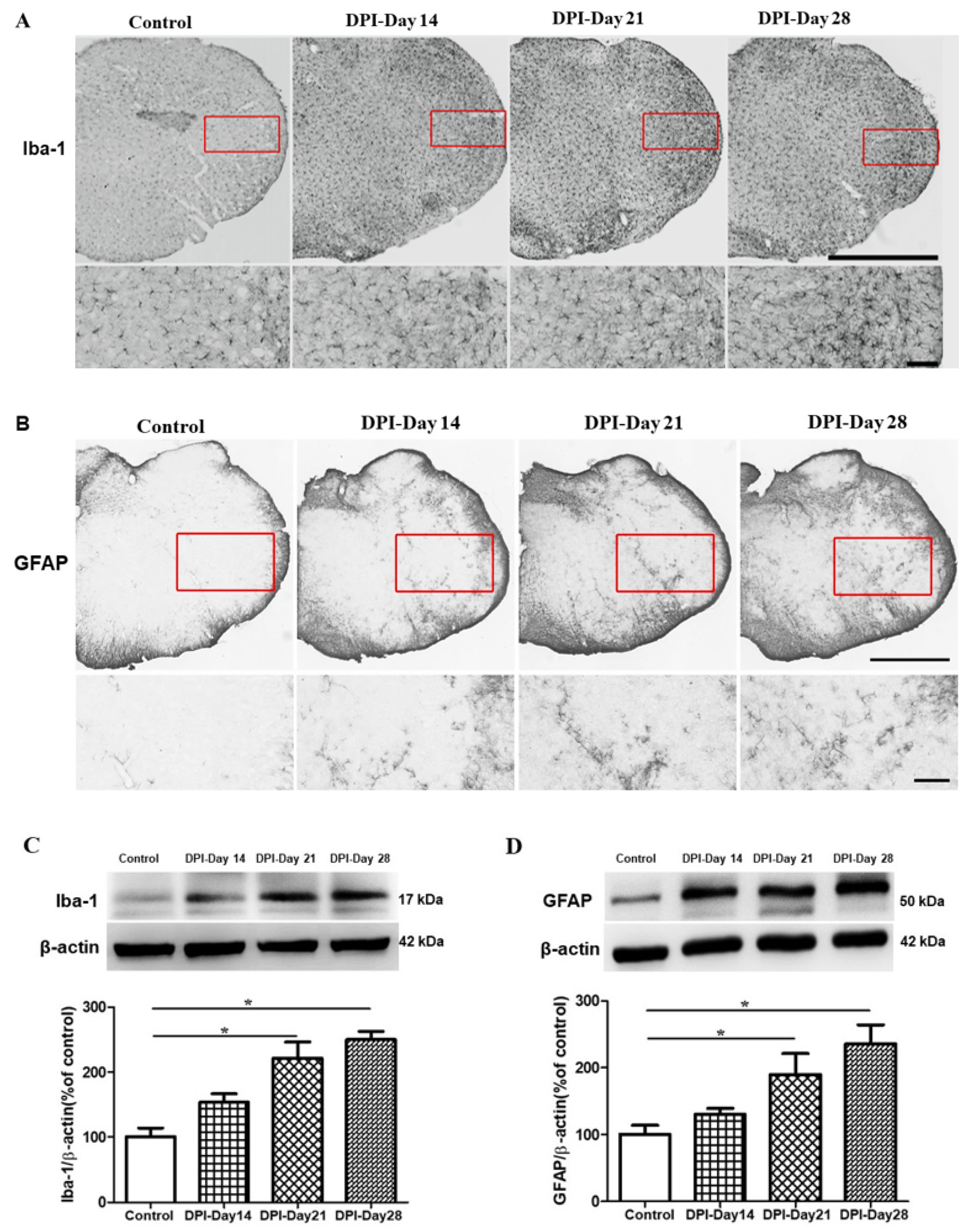 Ijms 21 02628 g003 Ijms 21 02628 g003