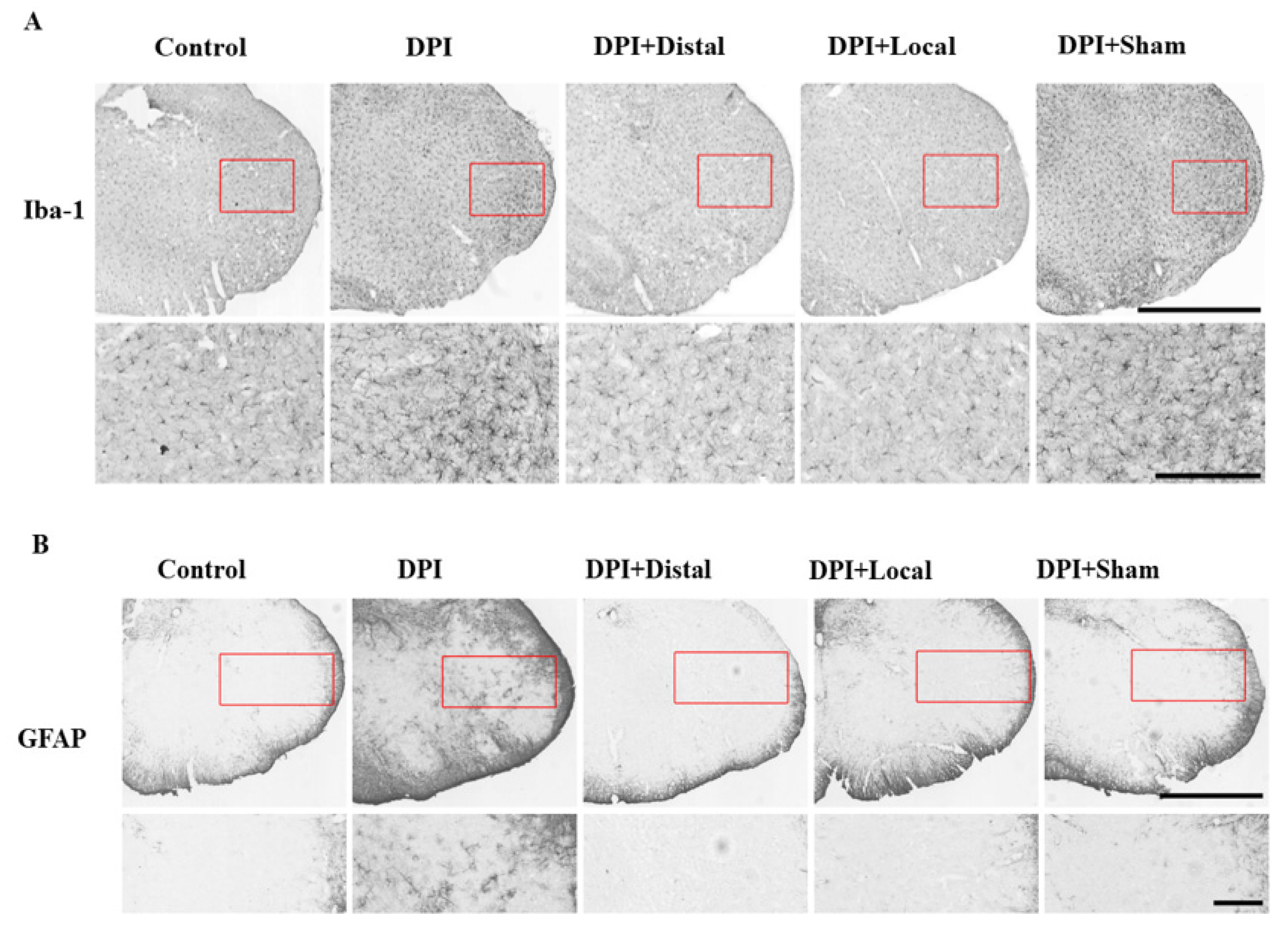 Ijms 21 02628 g004a Ijms 21 02628 g004a