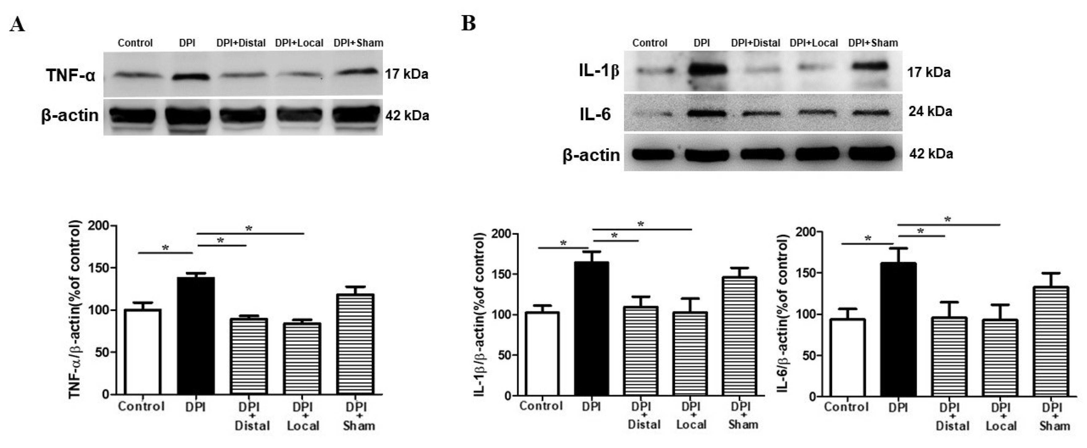 Ijms 21 02628 g005 Ijms 21 02628 g005