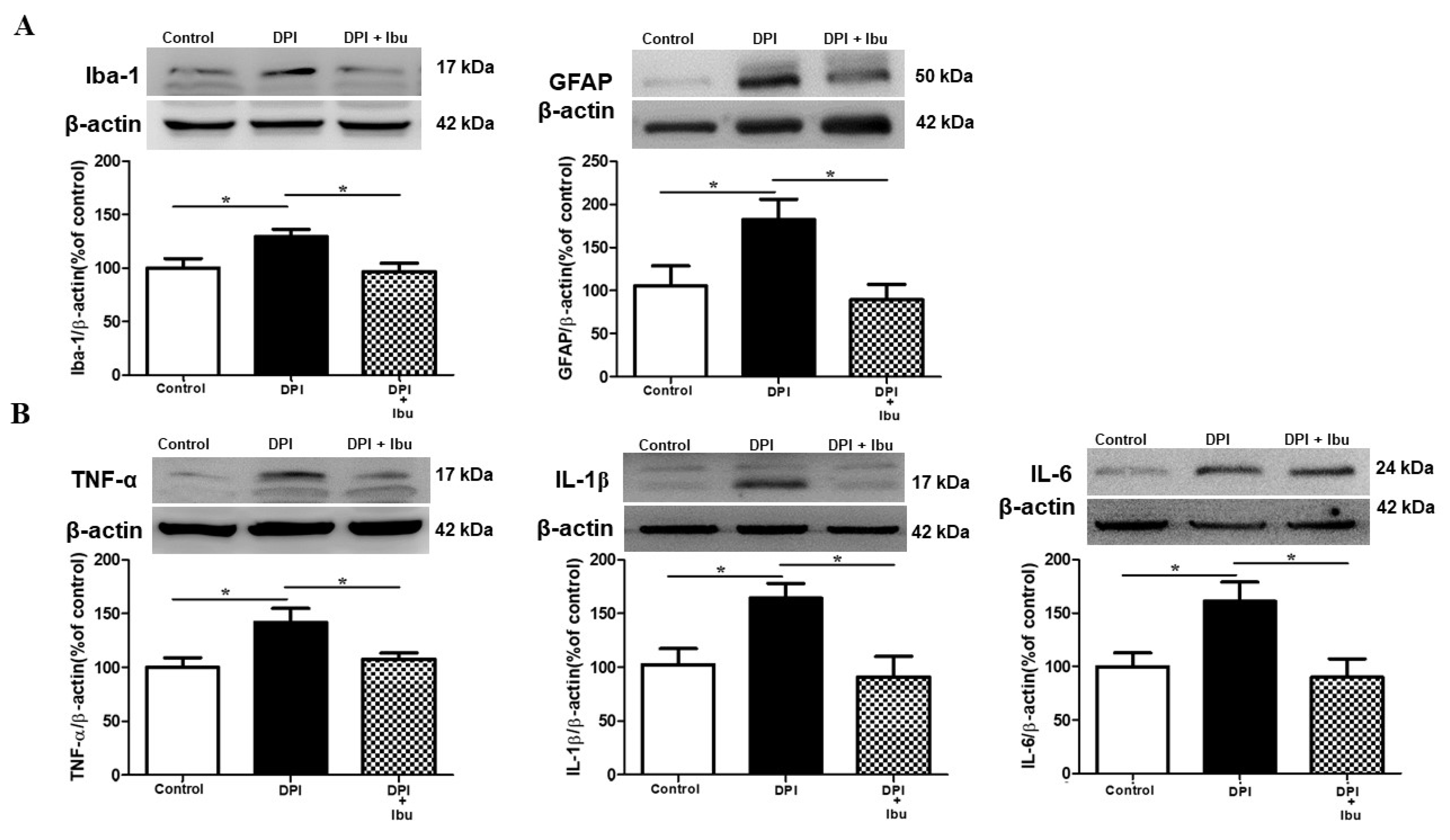 Ijms 21 02628 g006 Ijms 21 02628 g006