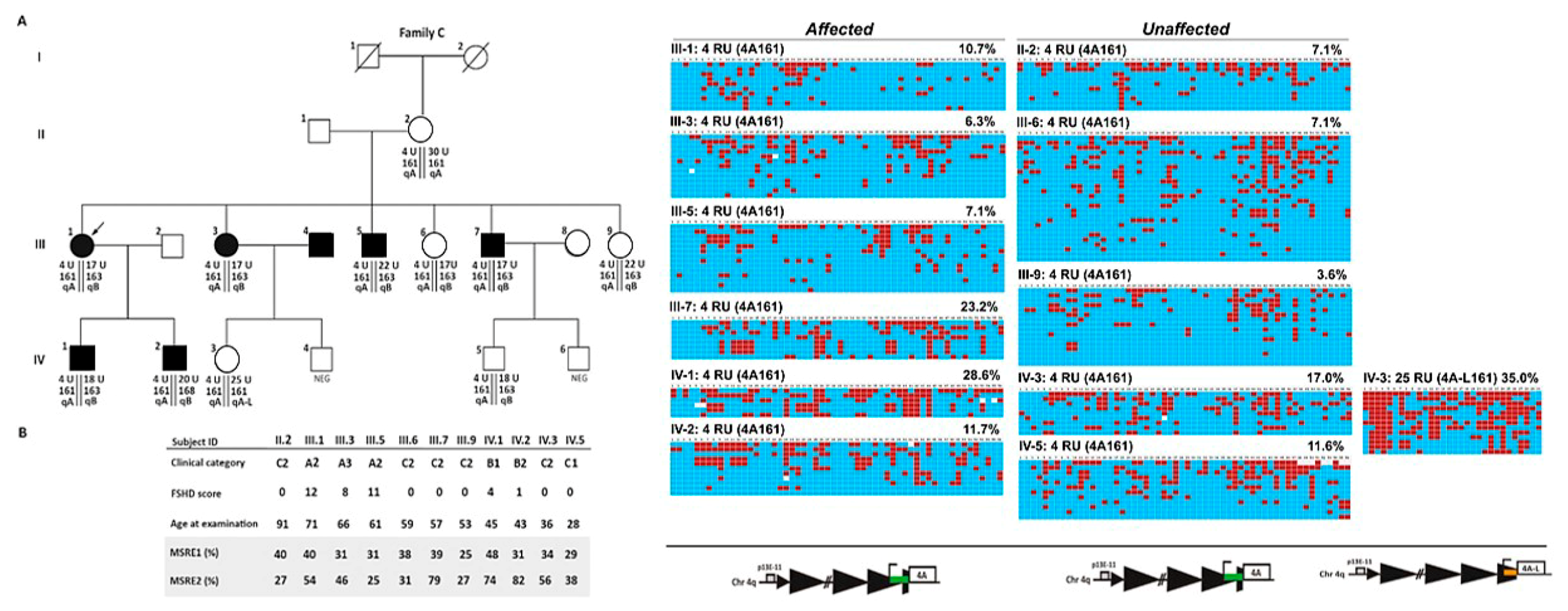 Ijms 21 02635 g005 Ijms 21 02635 g005