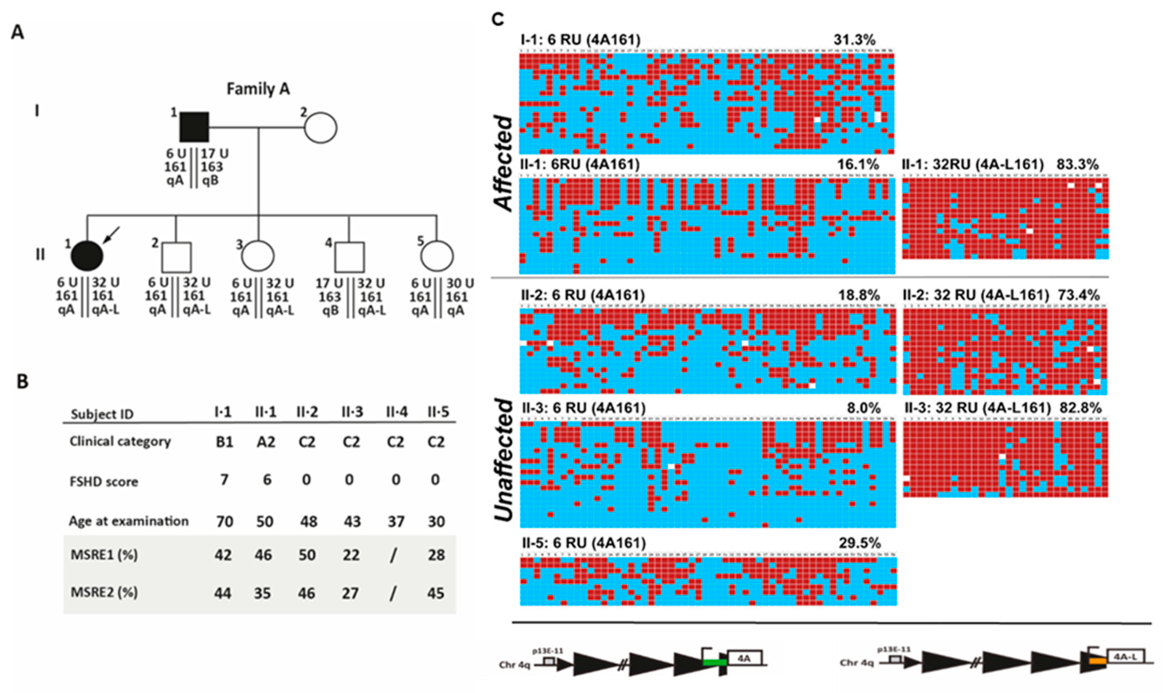 Ijms 21 02635 g006 Ijms 21 02635 g006