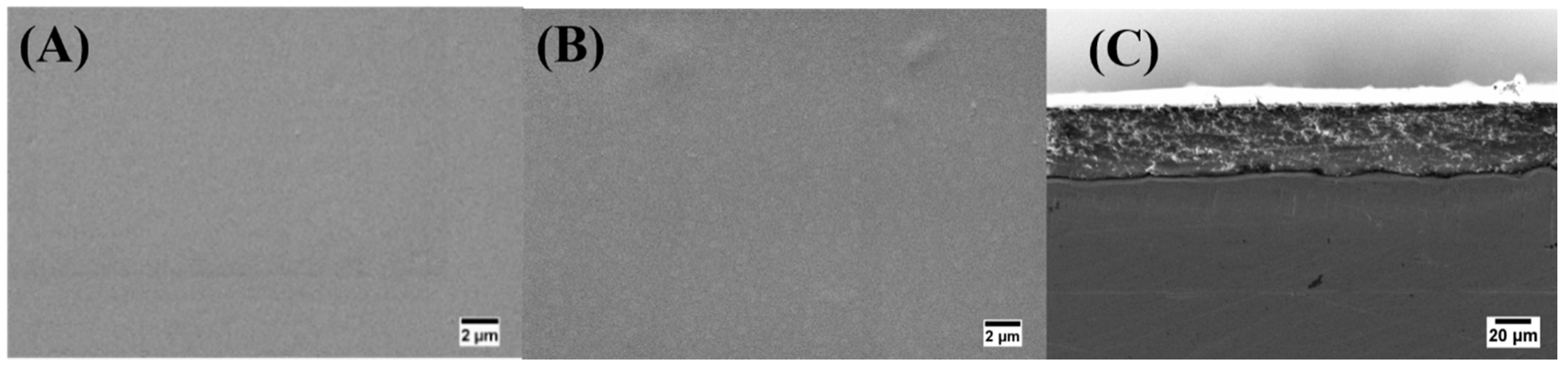 Ijms 21 02637 g001 Ijms 21 02637 g001