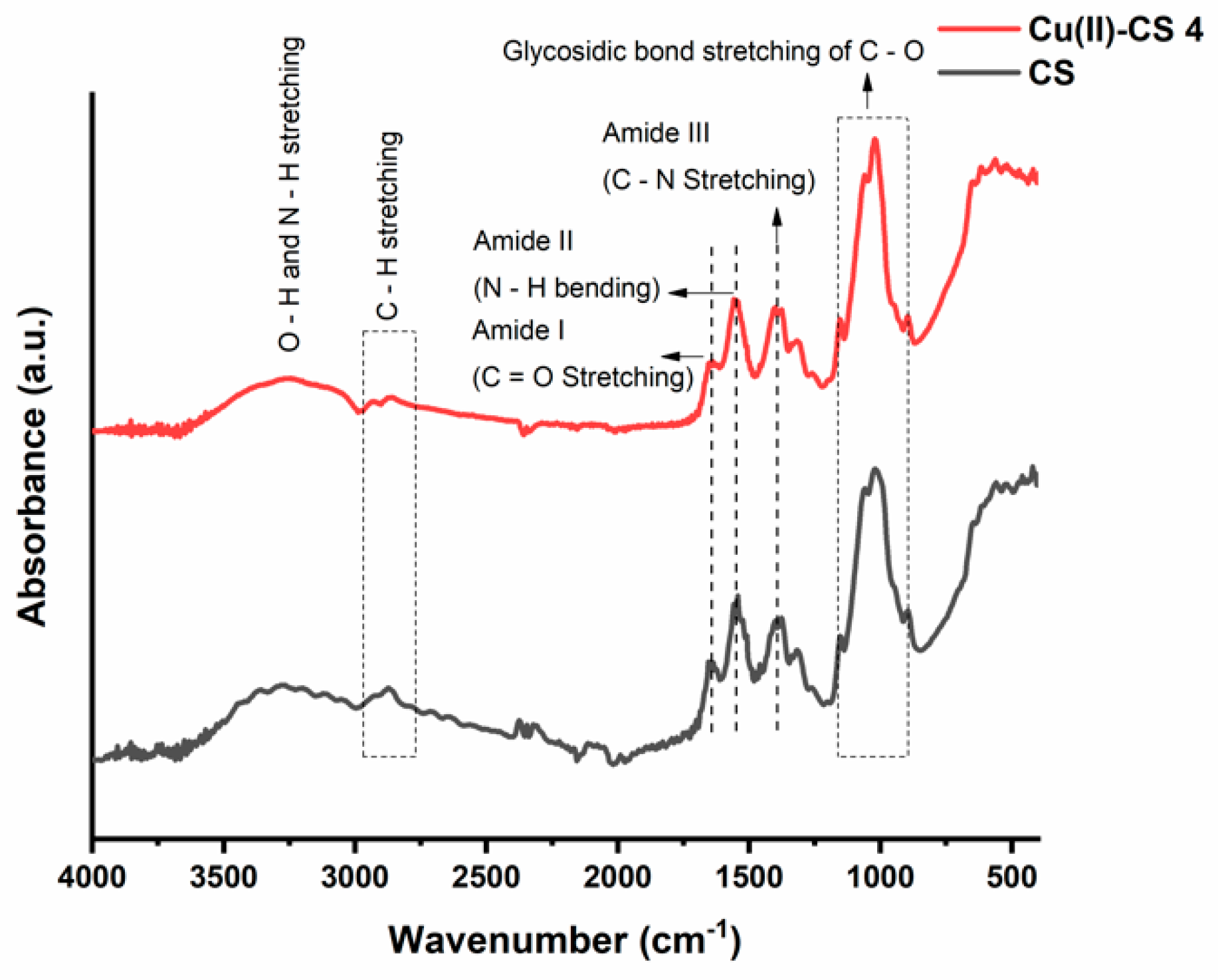 Ijms 21 02637 g003 Ijms 21 02637 g003