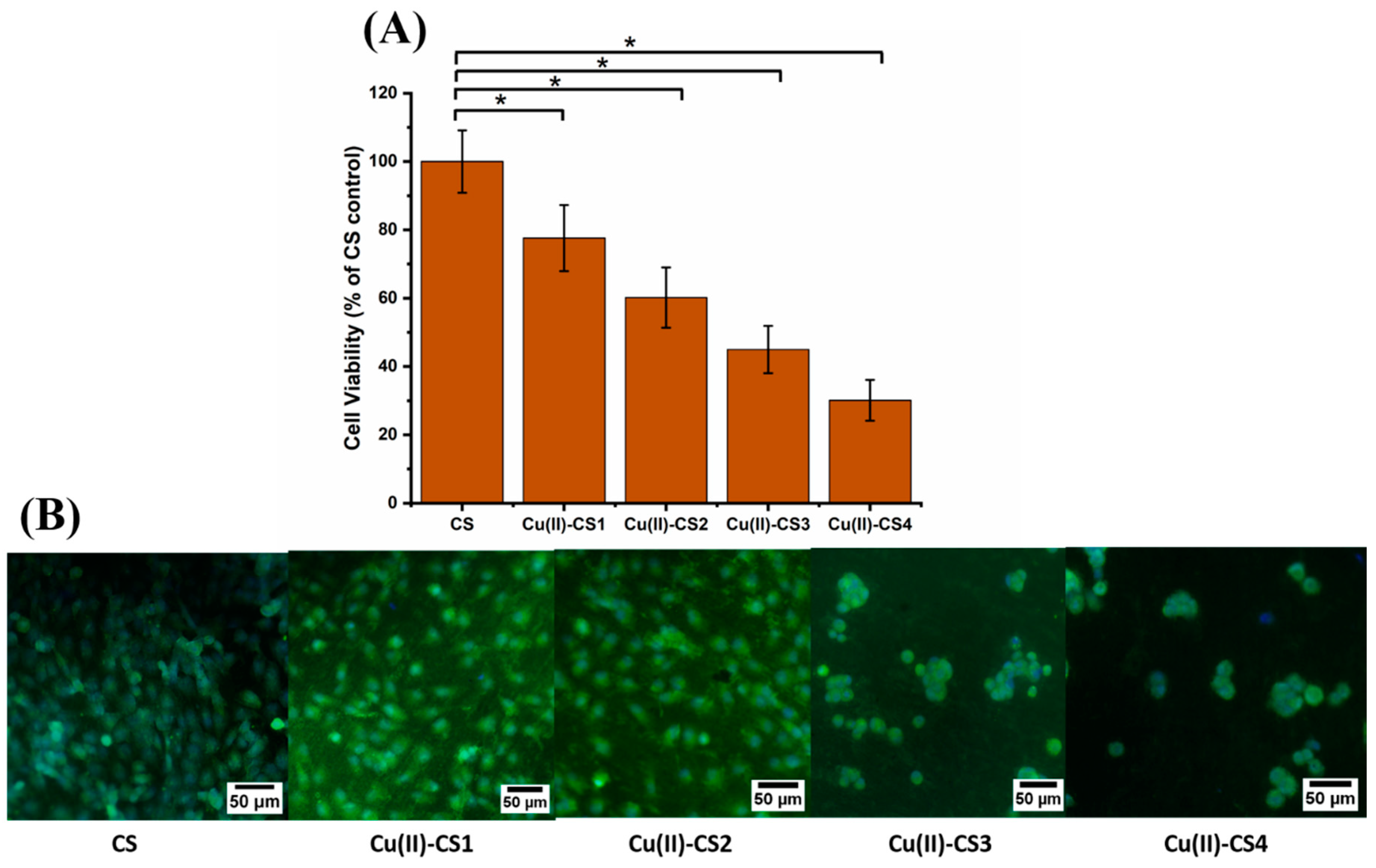 Ijms 21 02637 g011 Ijms 21 02637 g011