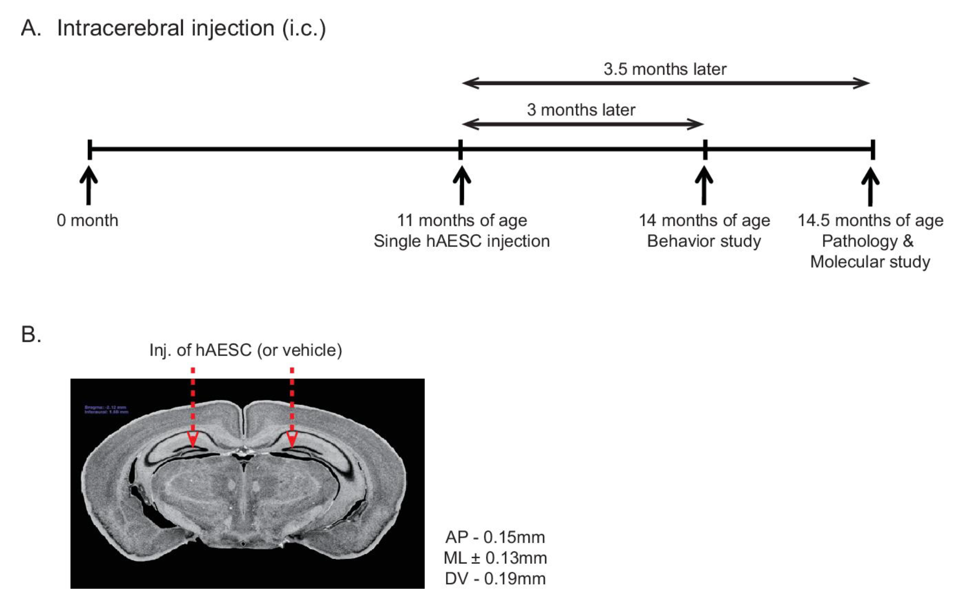 Ijms 21 02658 g001 Ijms 21 02658 g001