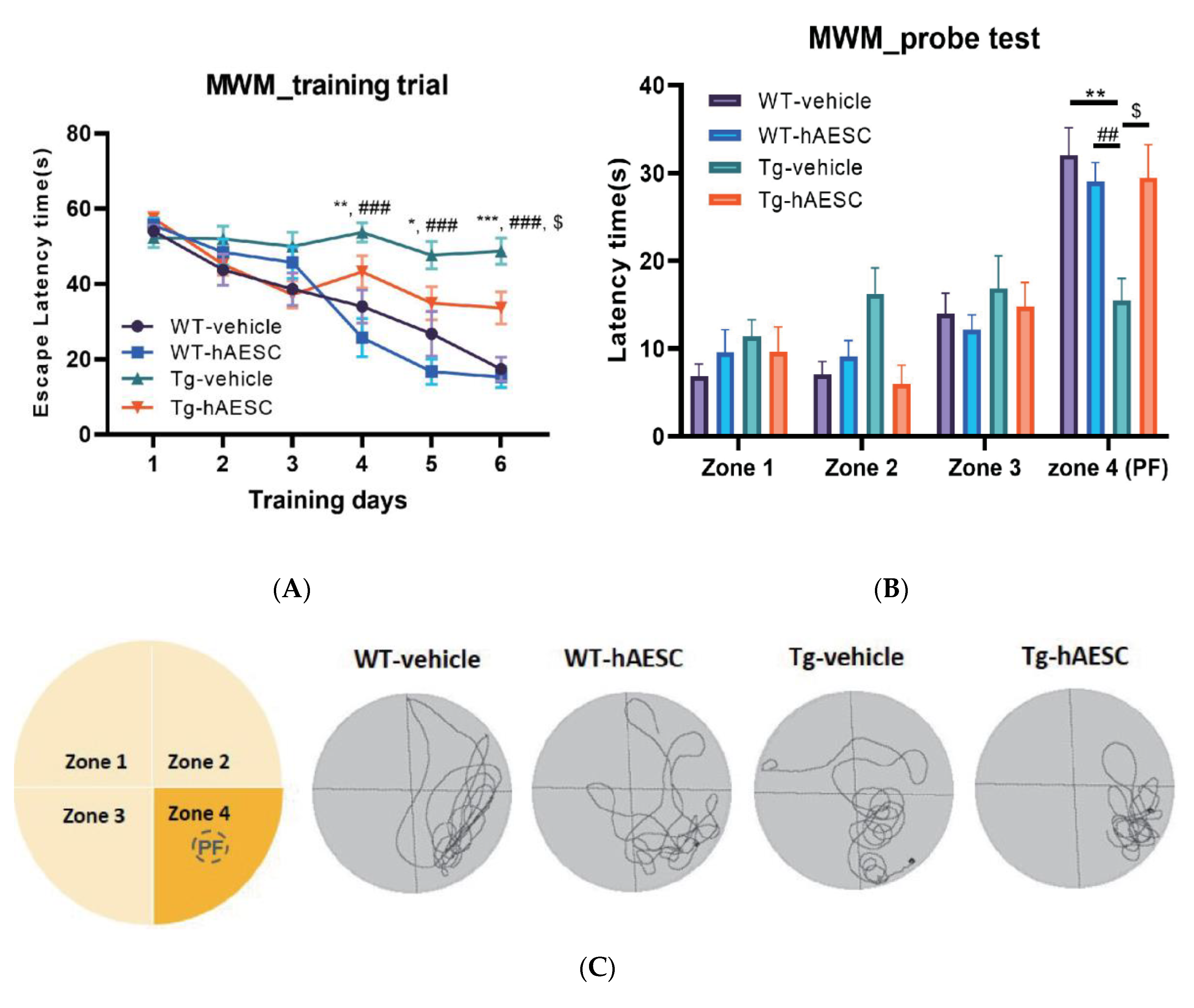 Ijms 21 02658 g002a Ijms 21 02658 g002a