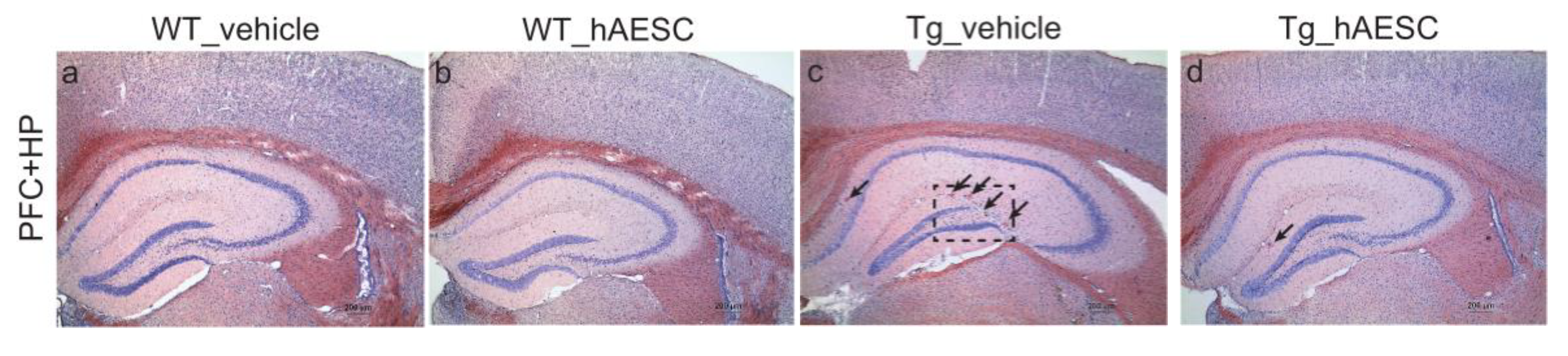 Ijms 21 02658 g003a Ijms 21 02658 g003a