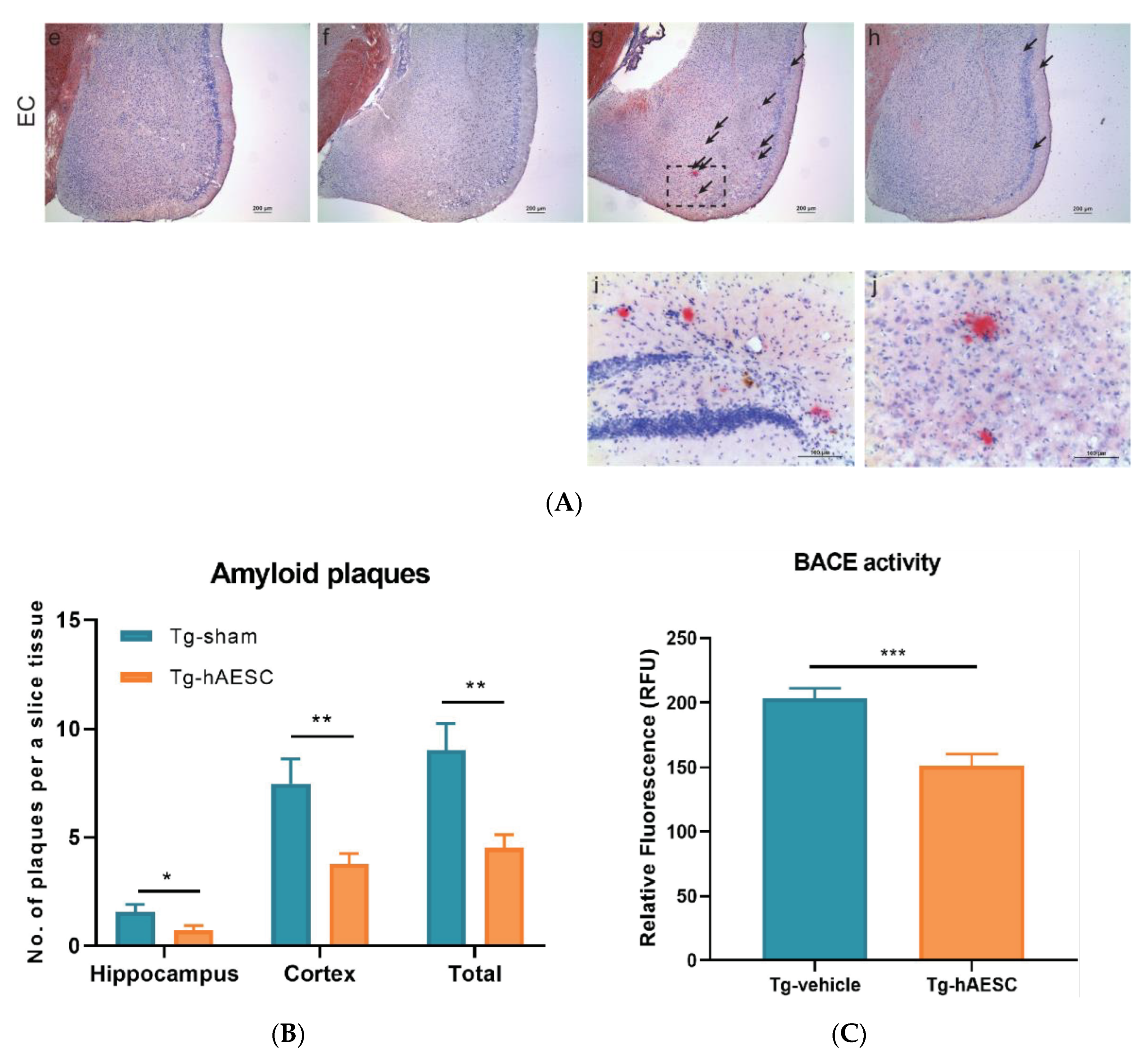 Ijms 21 02658 g003b Ijms 21 02658 g003b