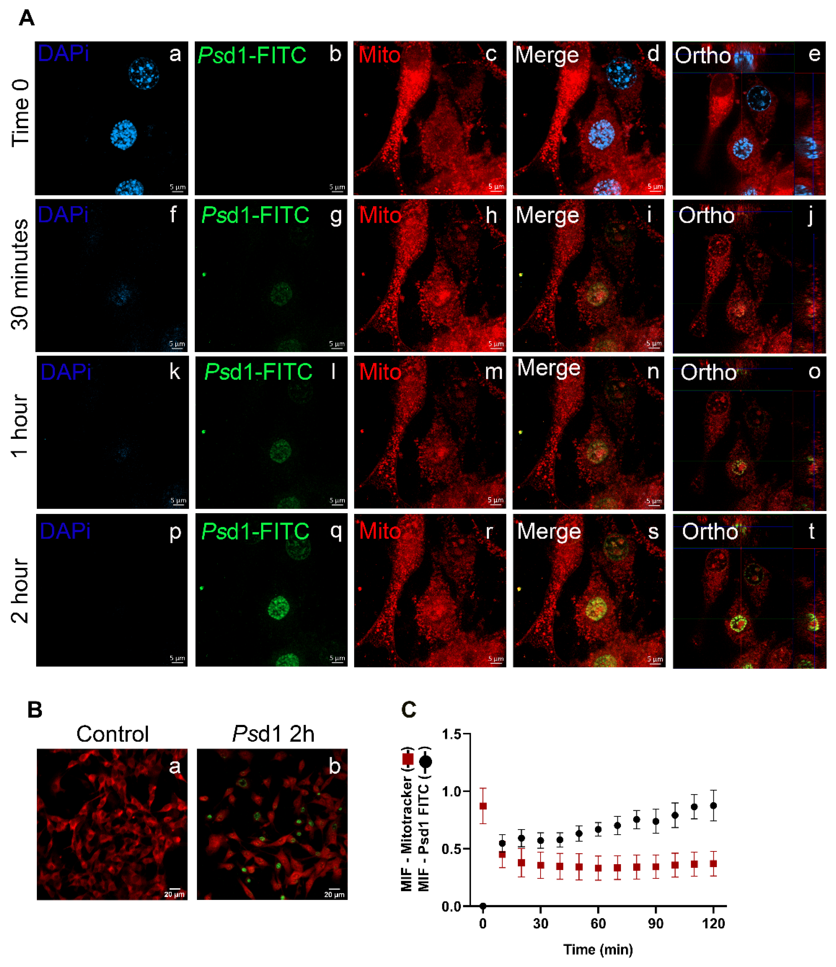 Ijms 21 02662 g003 Ijms 21 02662 g003