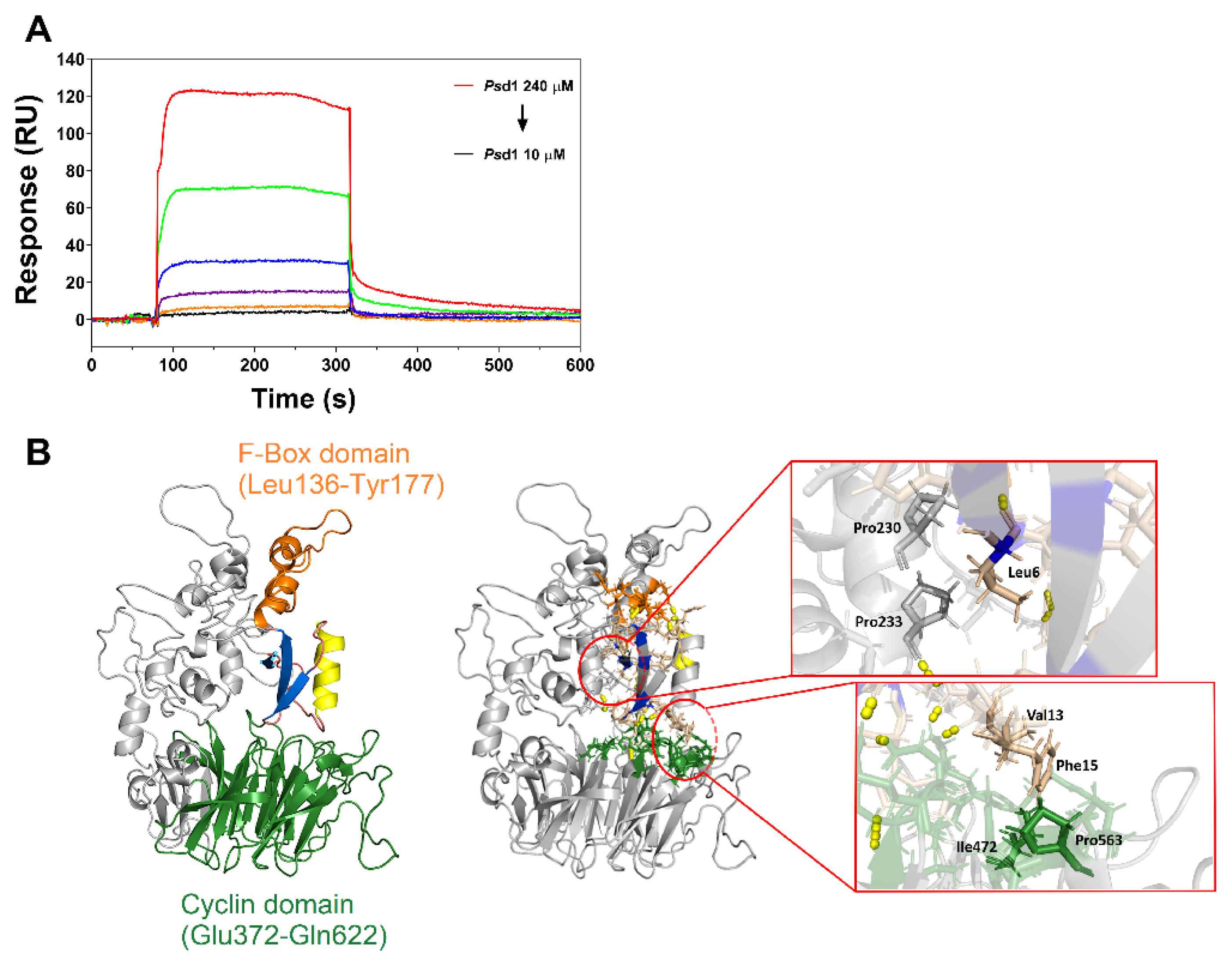 Ijms 21 02662 g005 Ijms 21 02662 g005