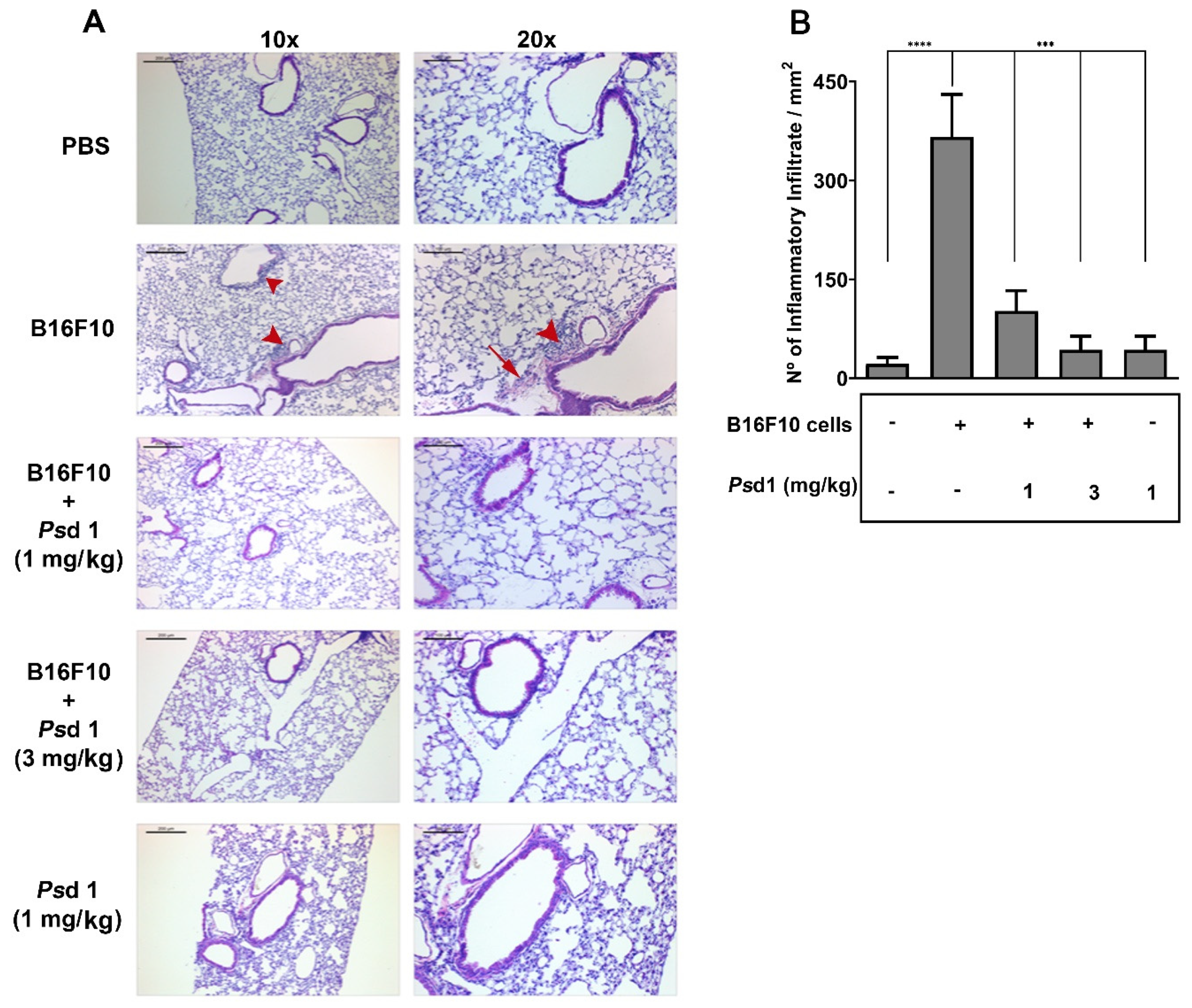 Ijms 21 02662 g007 Ijms 21 02662 g007