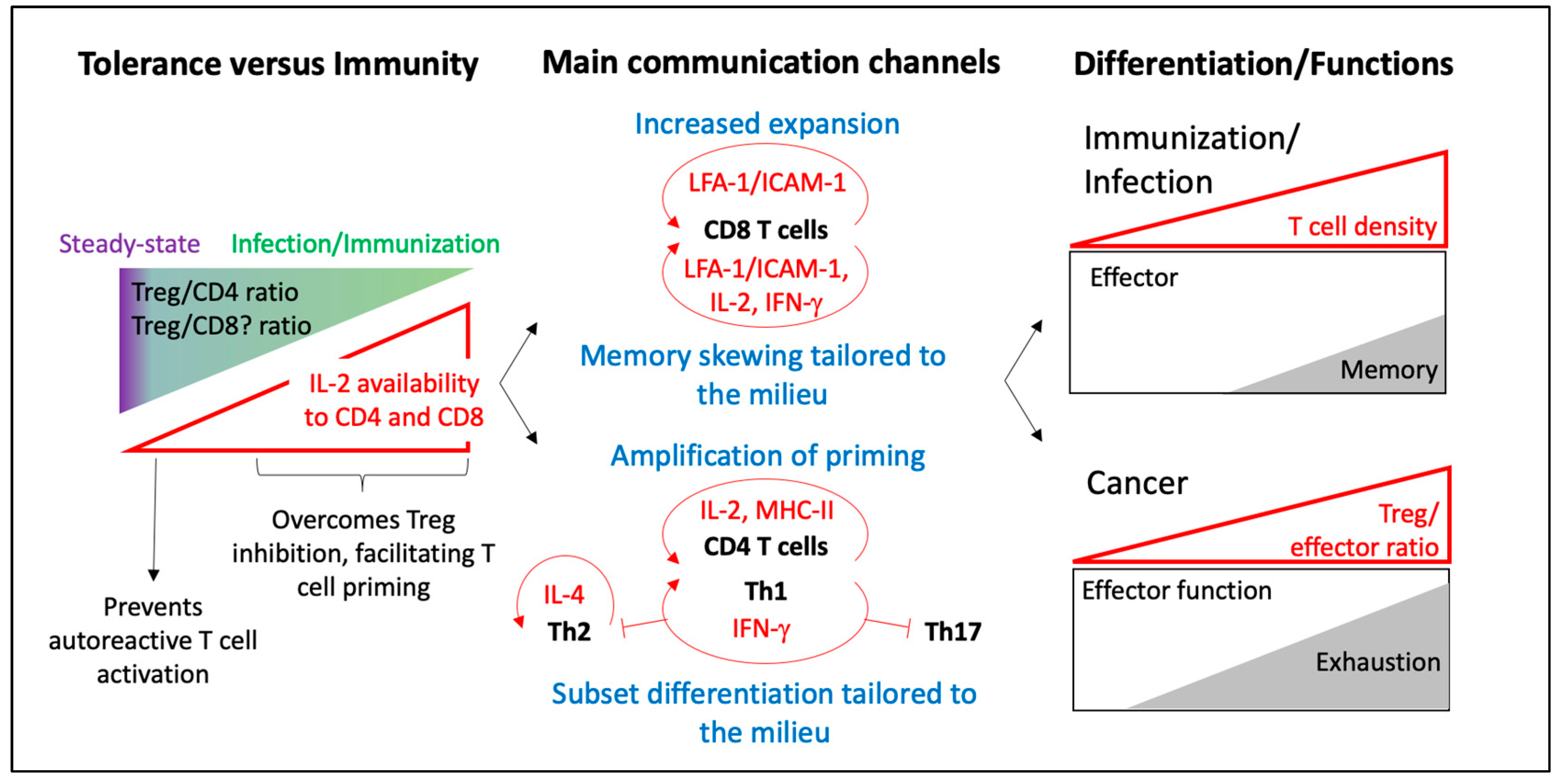 Ijms 21 02674 g002 Ijms 21 02674 g002