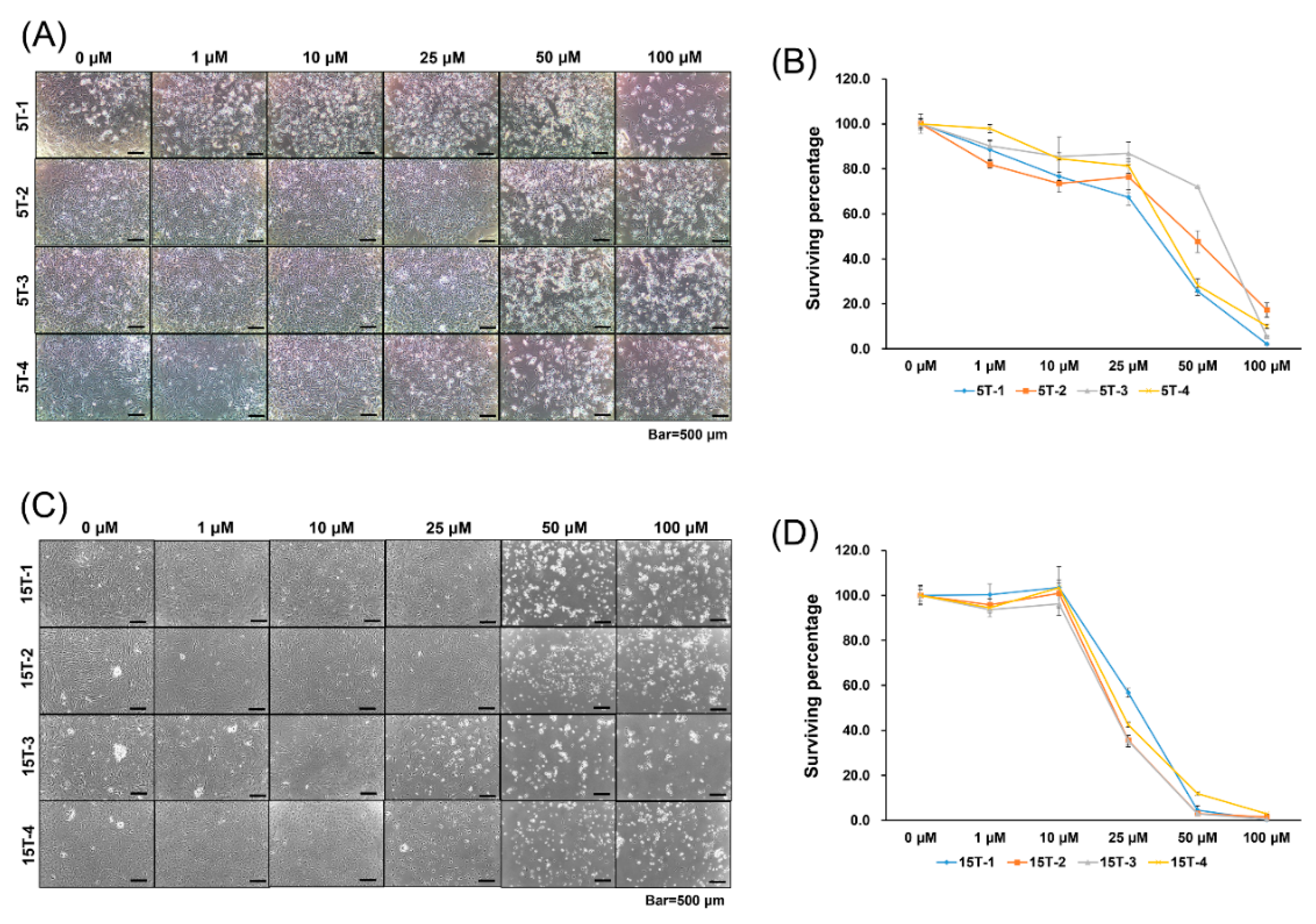 Ijms 21 02687 g001 Ijms 21 02687 g001