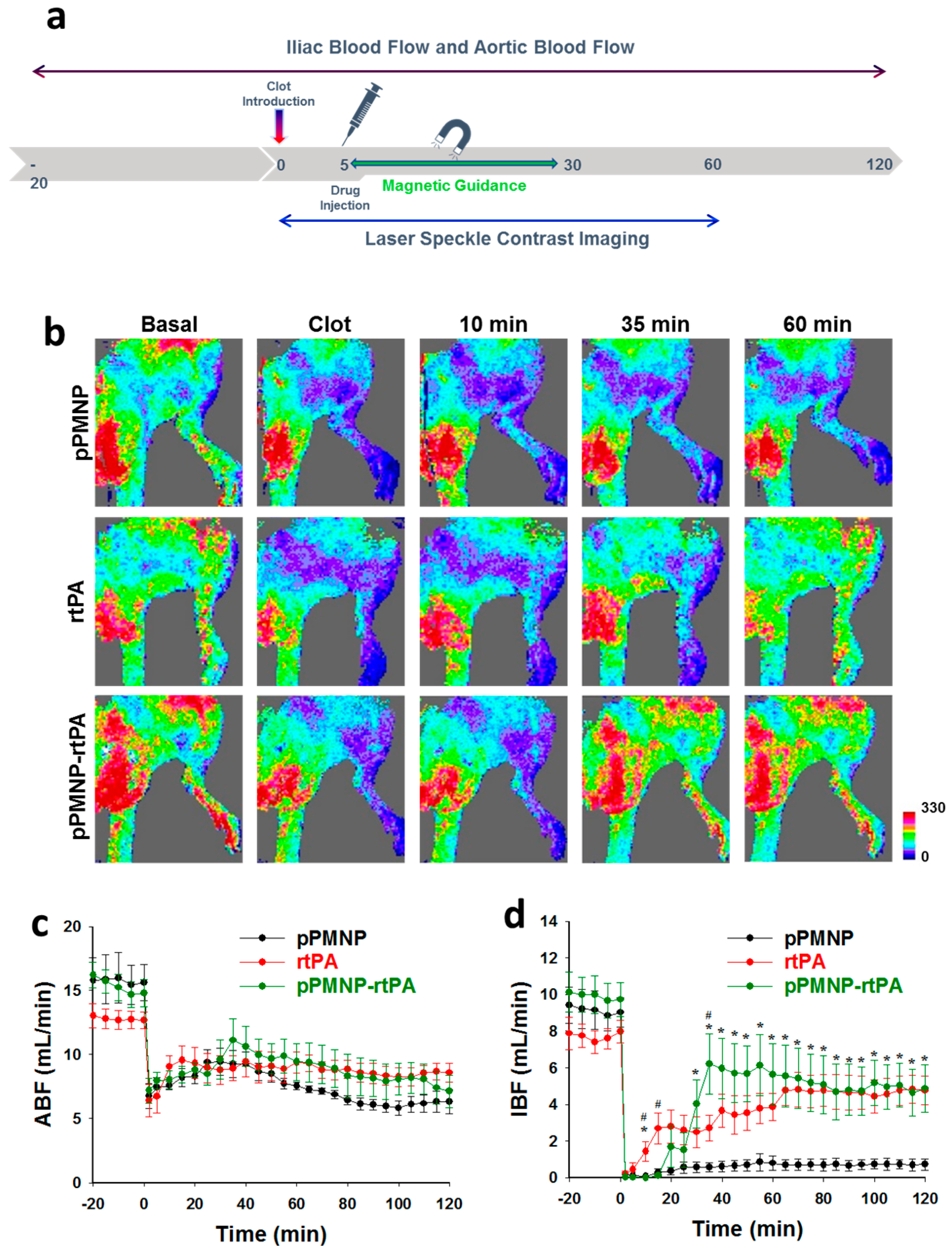 Ijms 21 02690 g013 Ijms 21 02690 g013