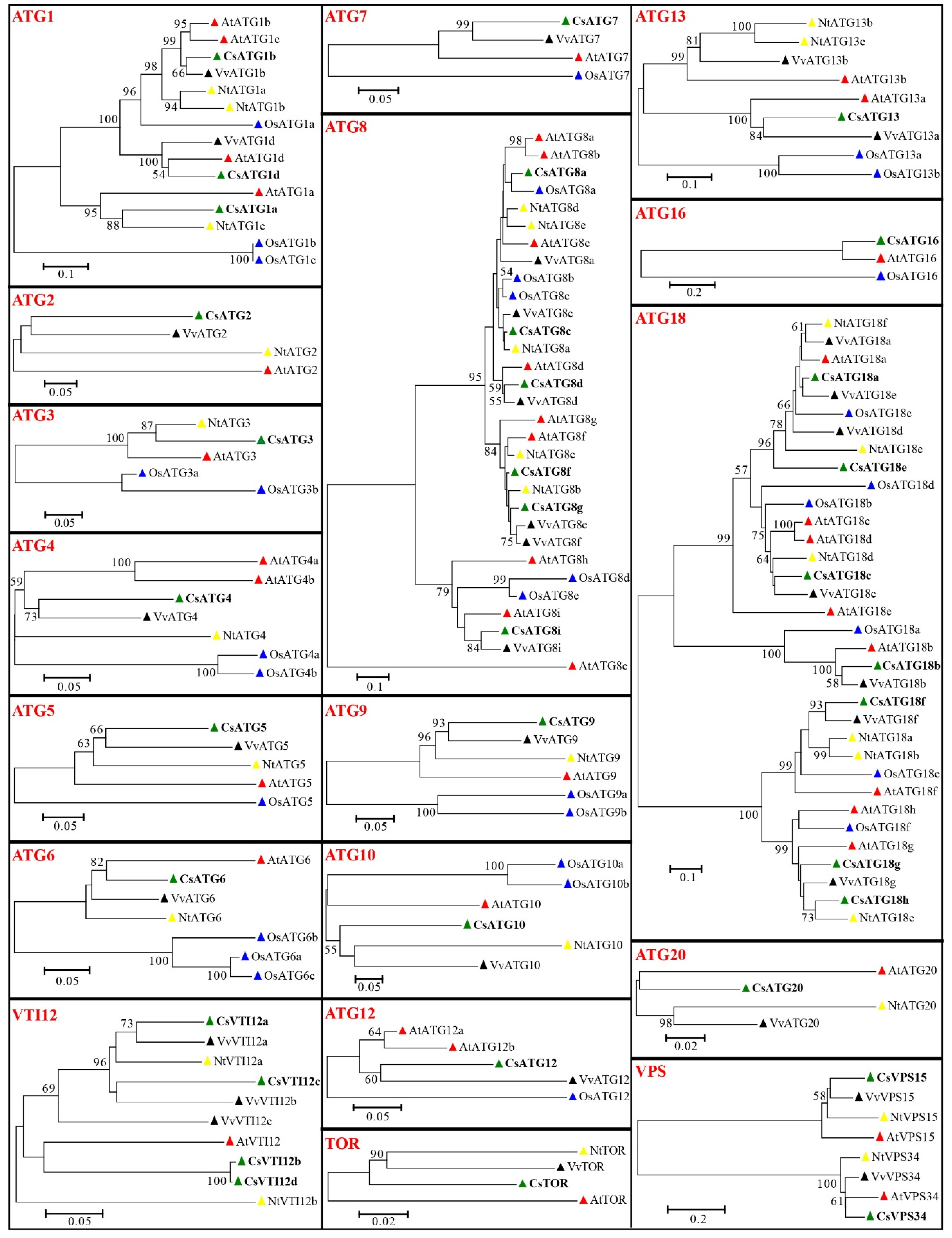 Ijms 21 02699 g001 Ijms 21 02699 g001