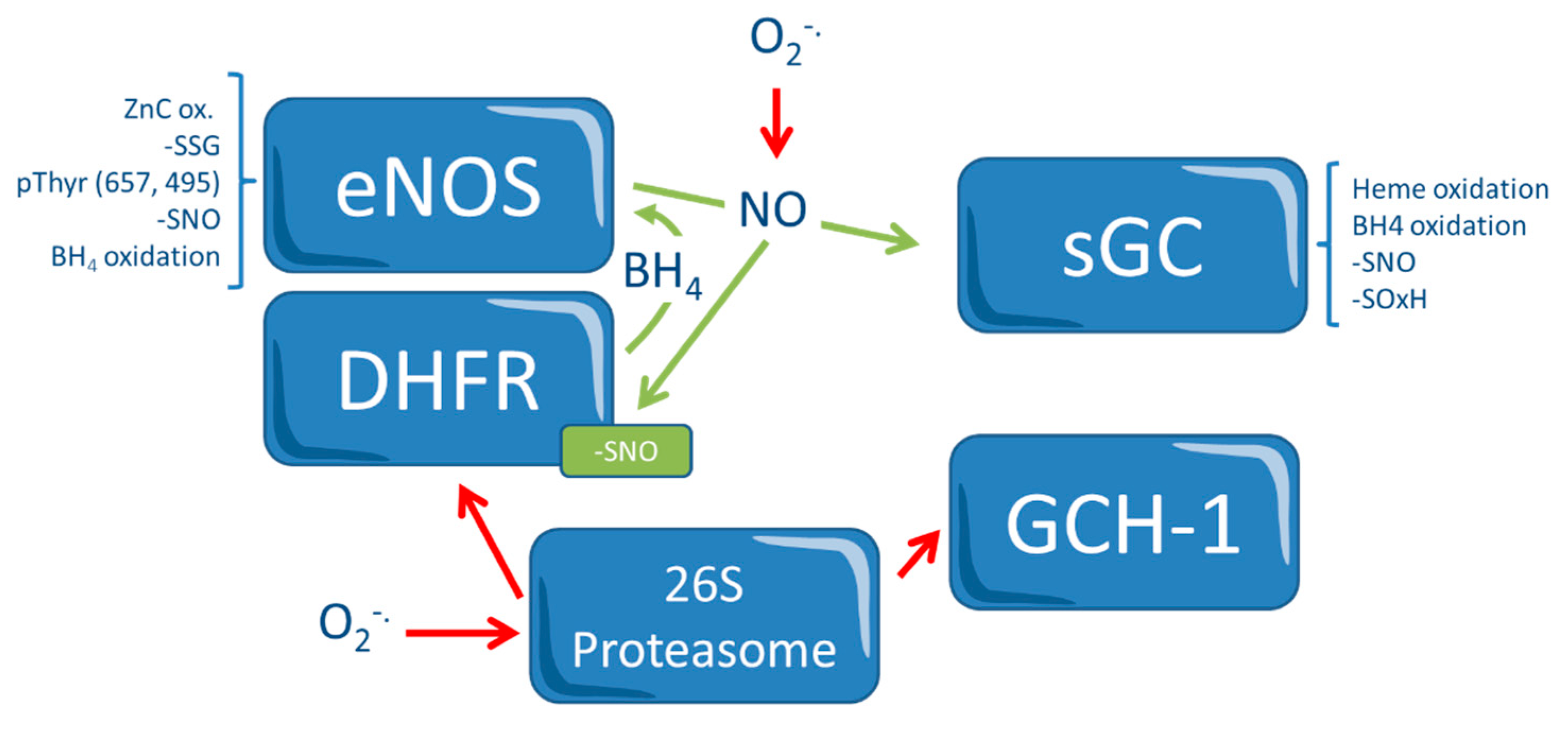 Ijms 21 02703 g001 Ijms 21 02703 g001