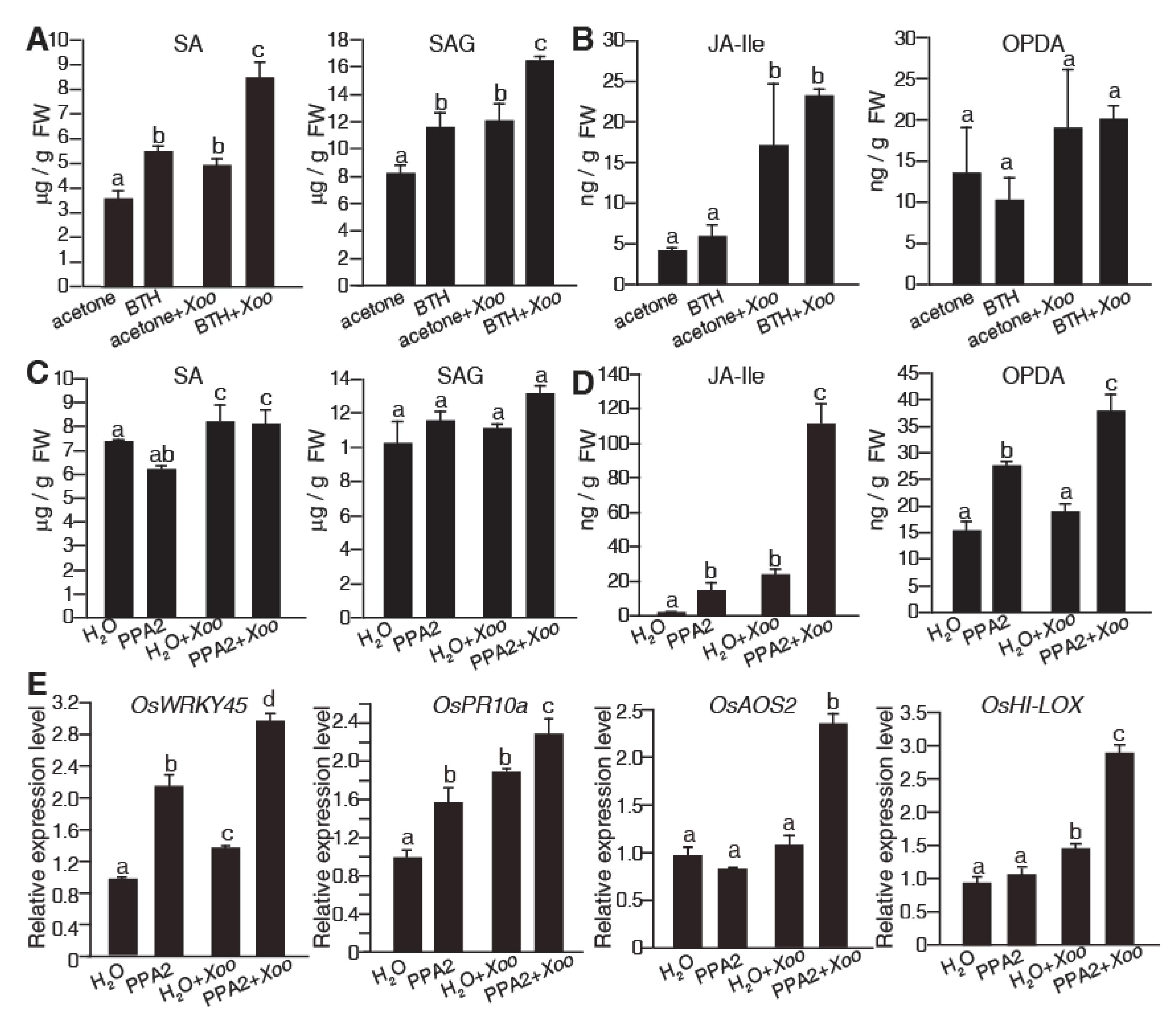 Ijms 21 02705 g004 Ijms 21 02705 g004