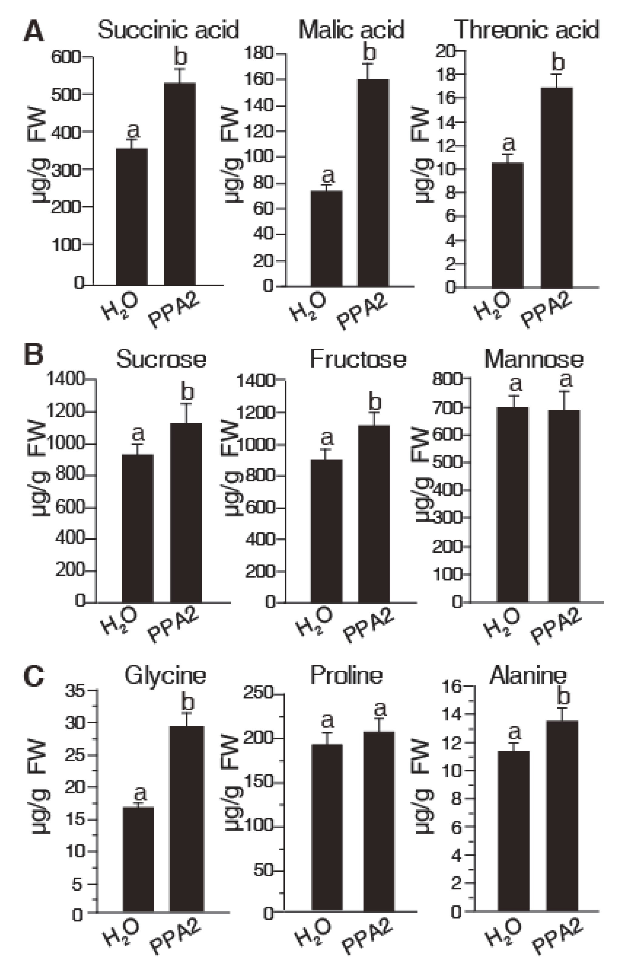 Ijms 21 02705 g005 Ijms 21 02705 g005