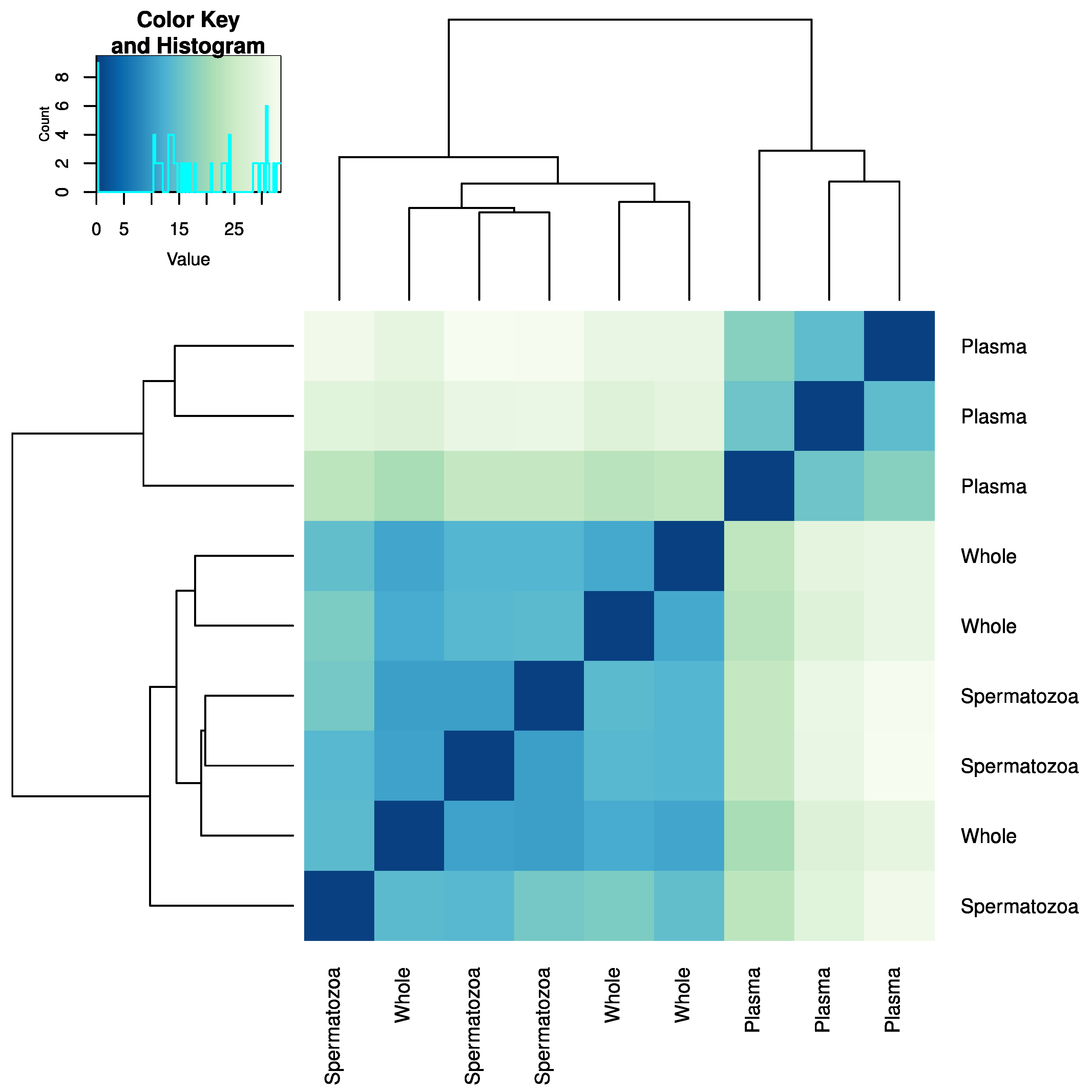 Ijms 21 02723 g002 Ijms 21 02723 g002