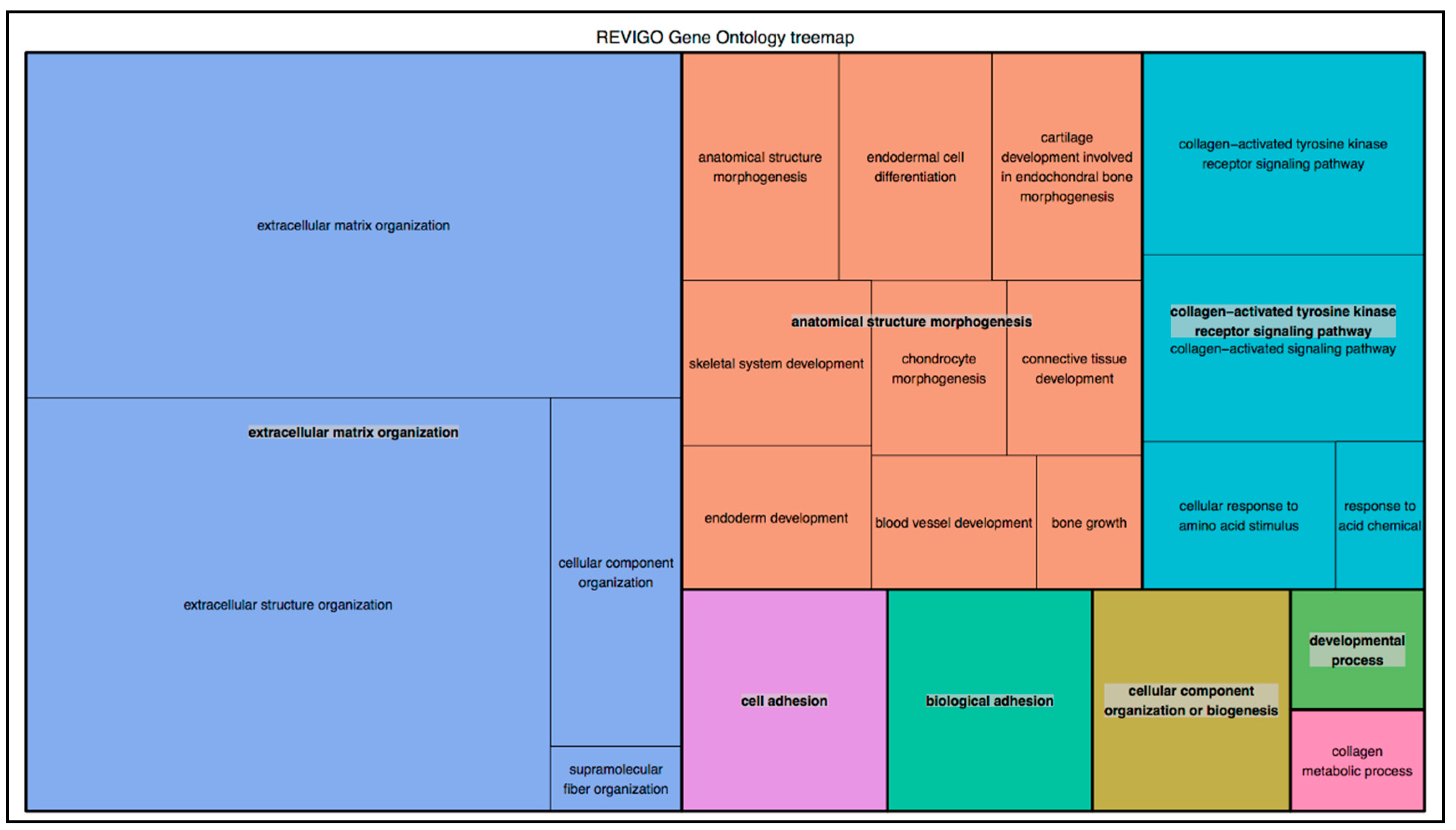 Ijms 21 02740 g002 Ijms 21 02740 g002