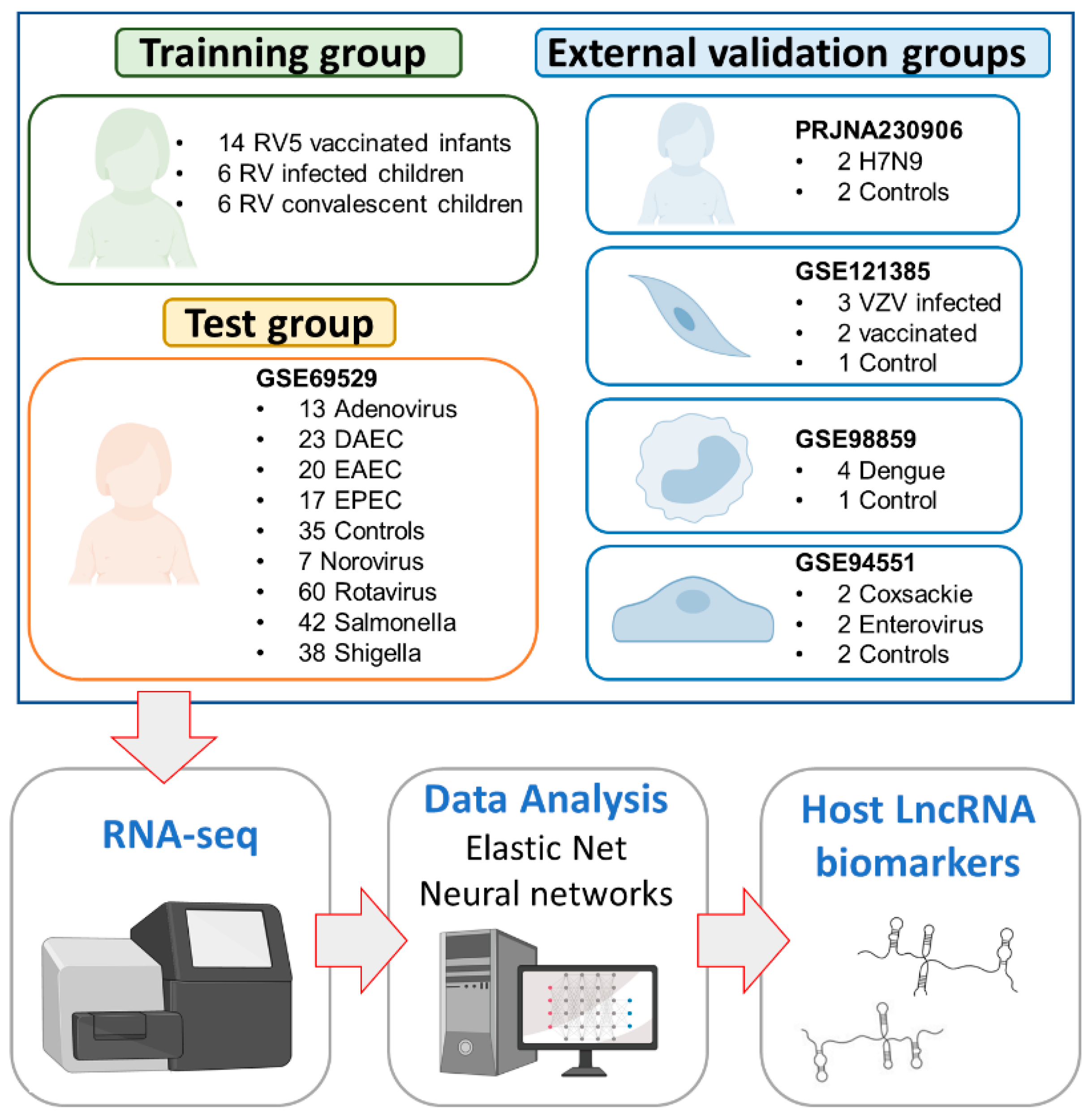 Ijms 21 02748 g003 Ijms 21 02748 g003