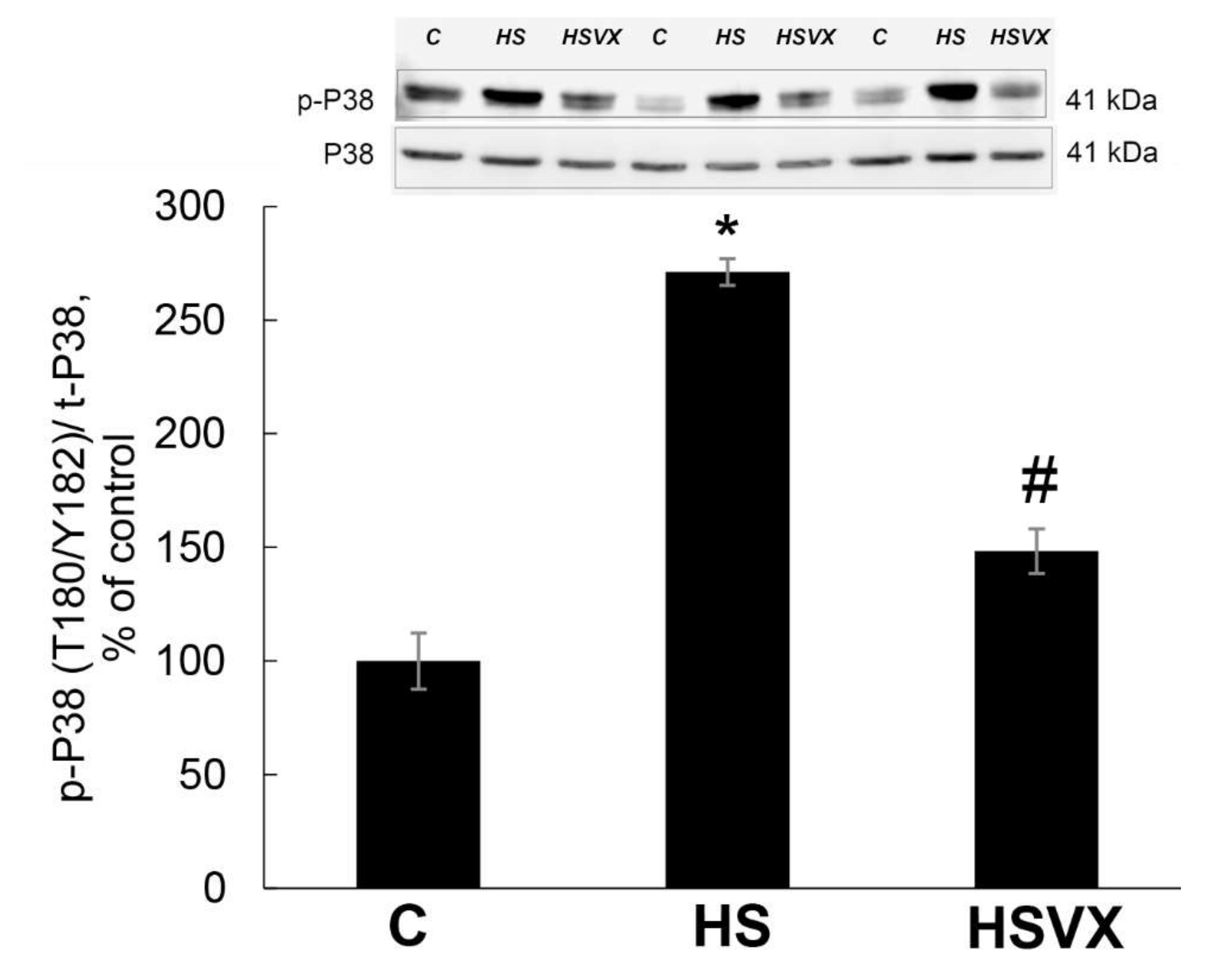 Ijms 21 02756 g001 Ijms 21 02756 g001