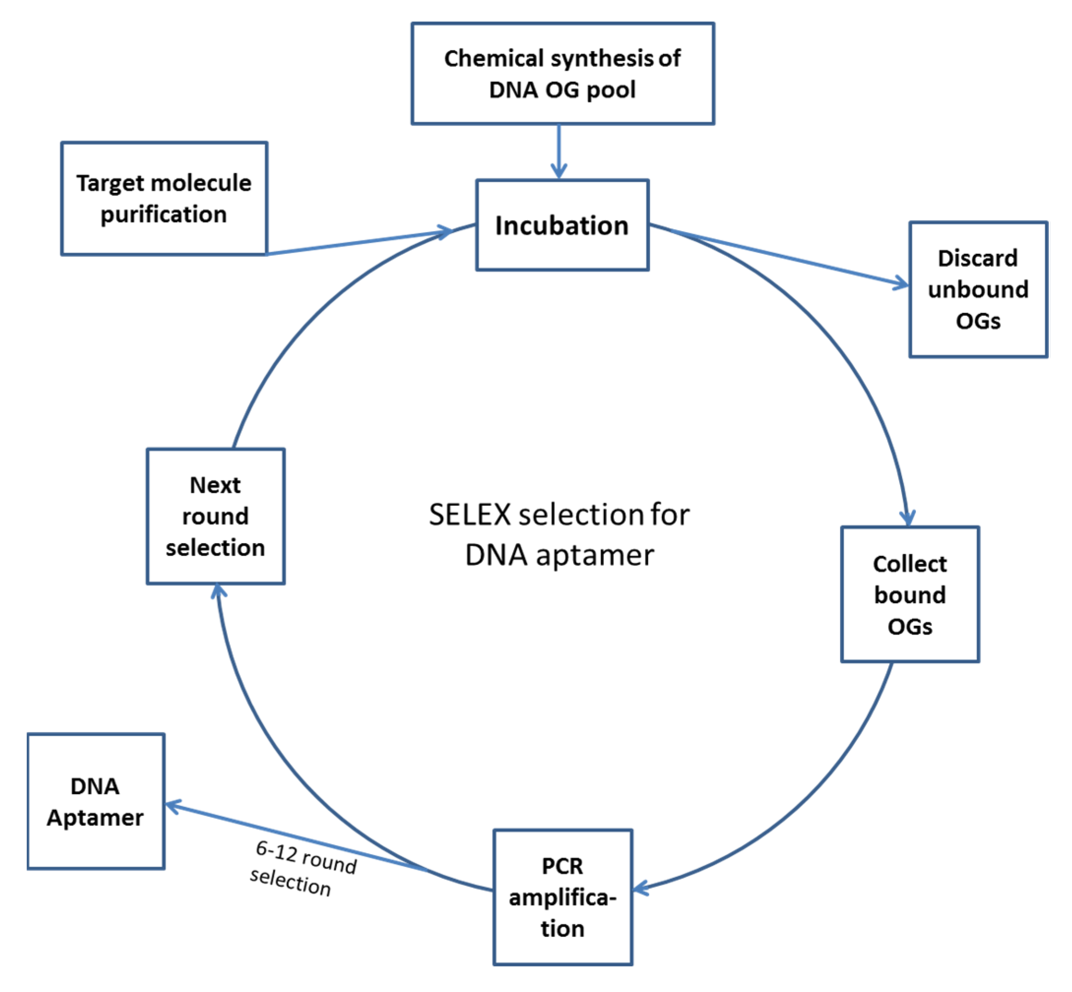 Ijms 21 02793 g001 Ijms 21 02793 g001