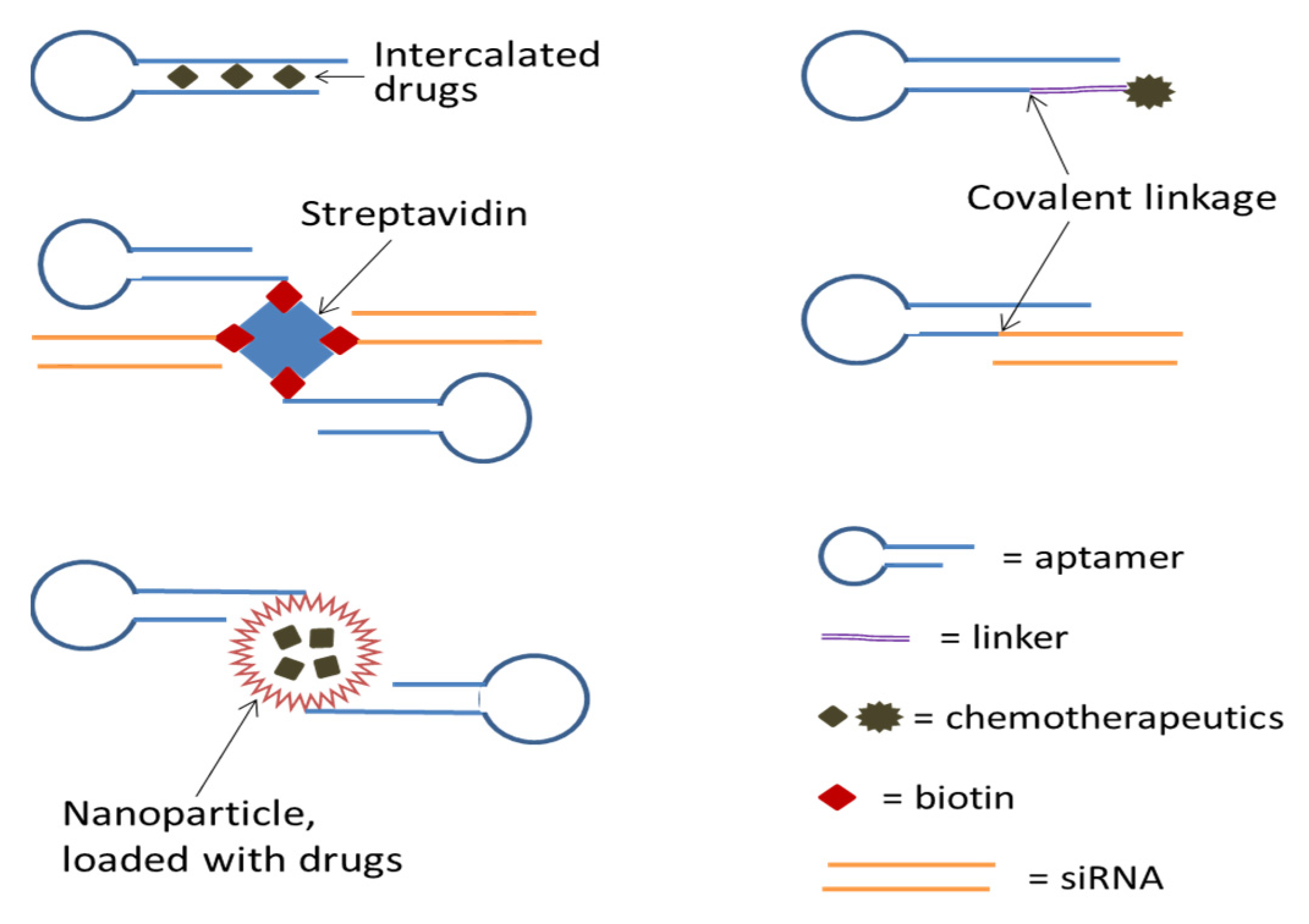 Ijms 21 02793 g002 Ijms 21 02793 g002