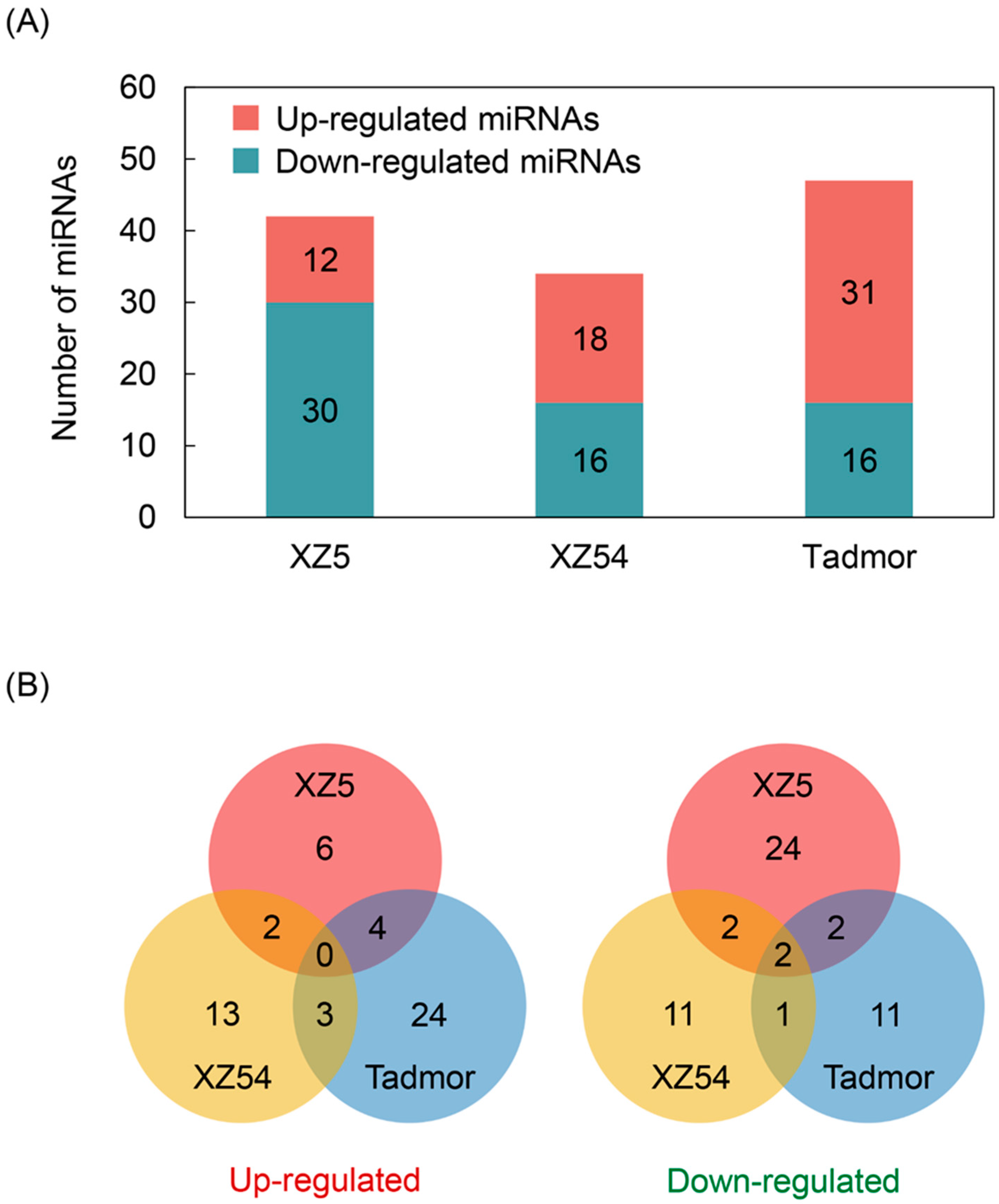 Ijms 21 02795 g003 Ijms 21 02795 g003
