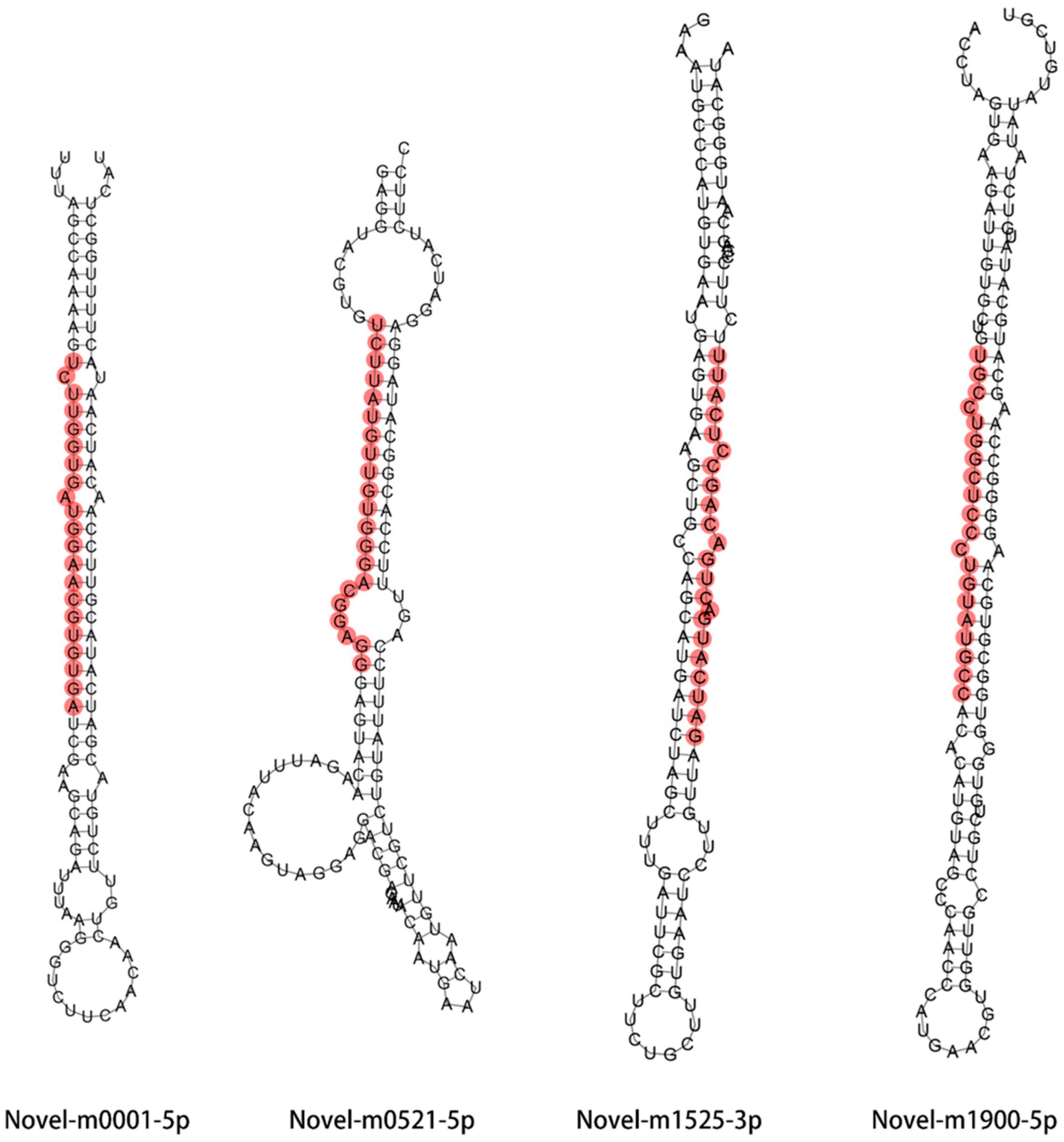 Ijms 21 02795 g005 Ijms 21 02795 g005