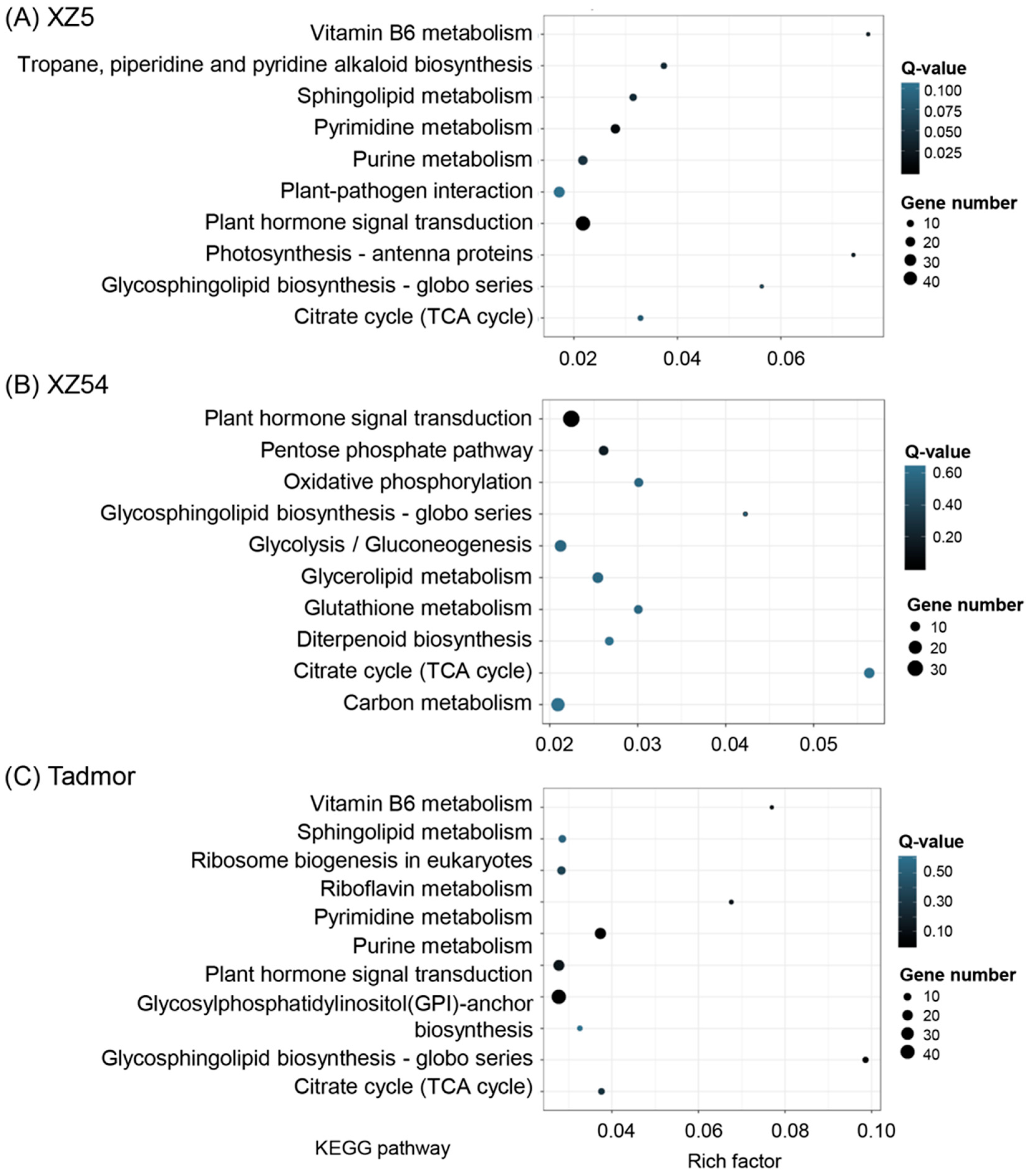 Ijms 21 02795 g008 Ijms 21 02795 g008
