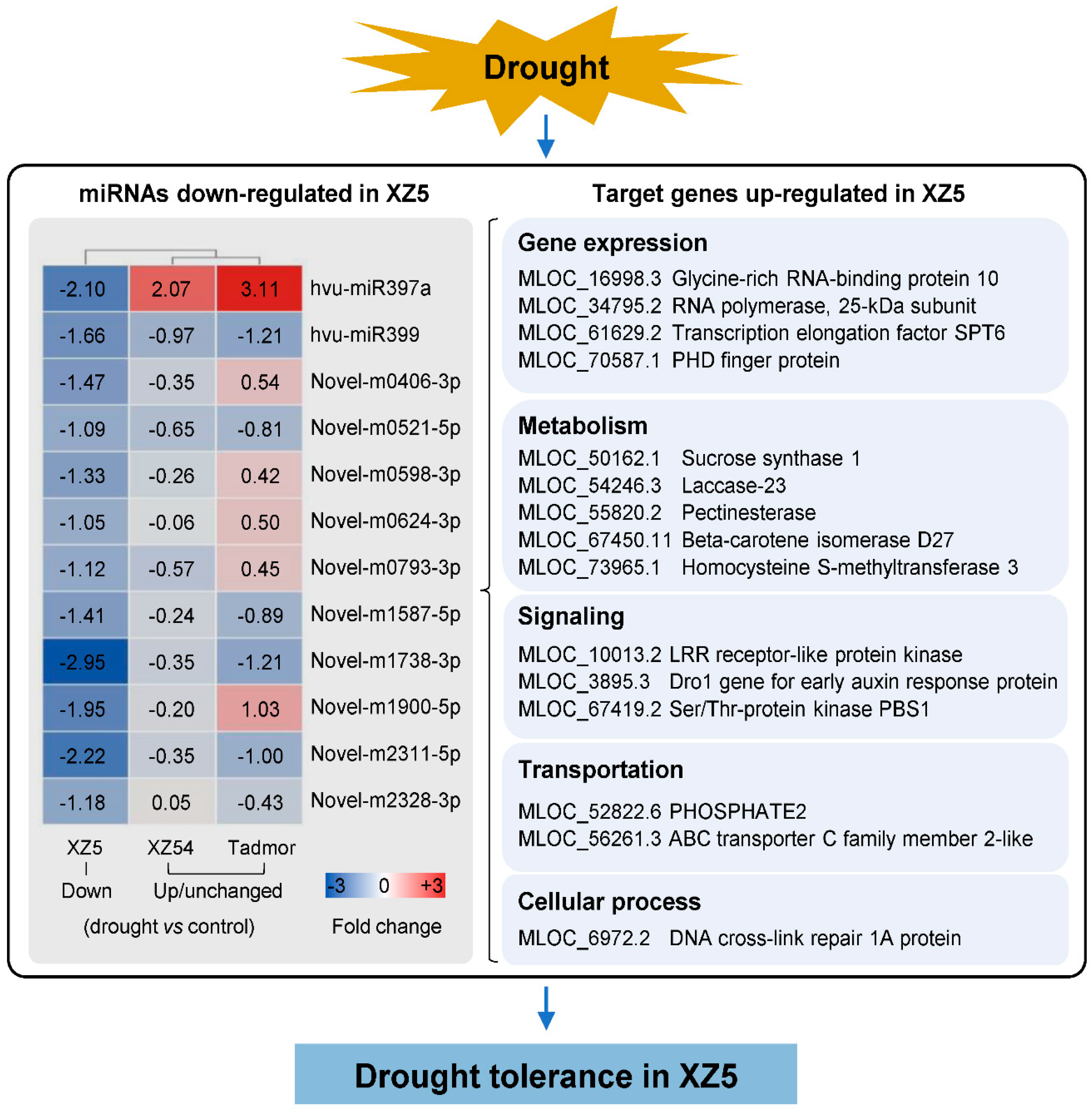 Ijms 21 02795 g009 Ijms 21 02795 g009